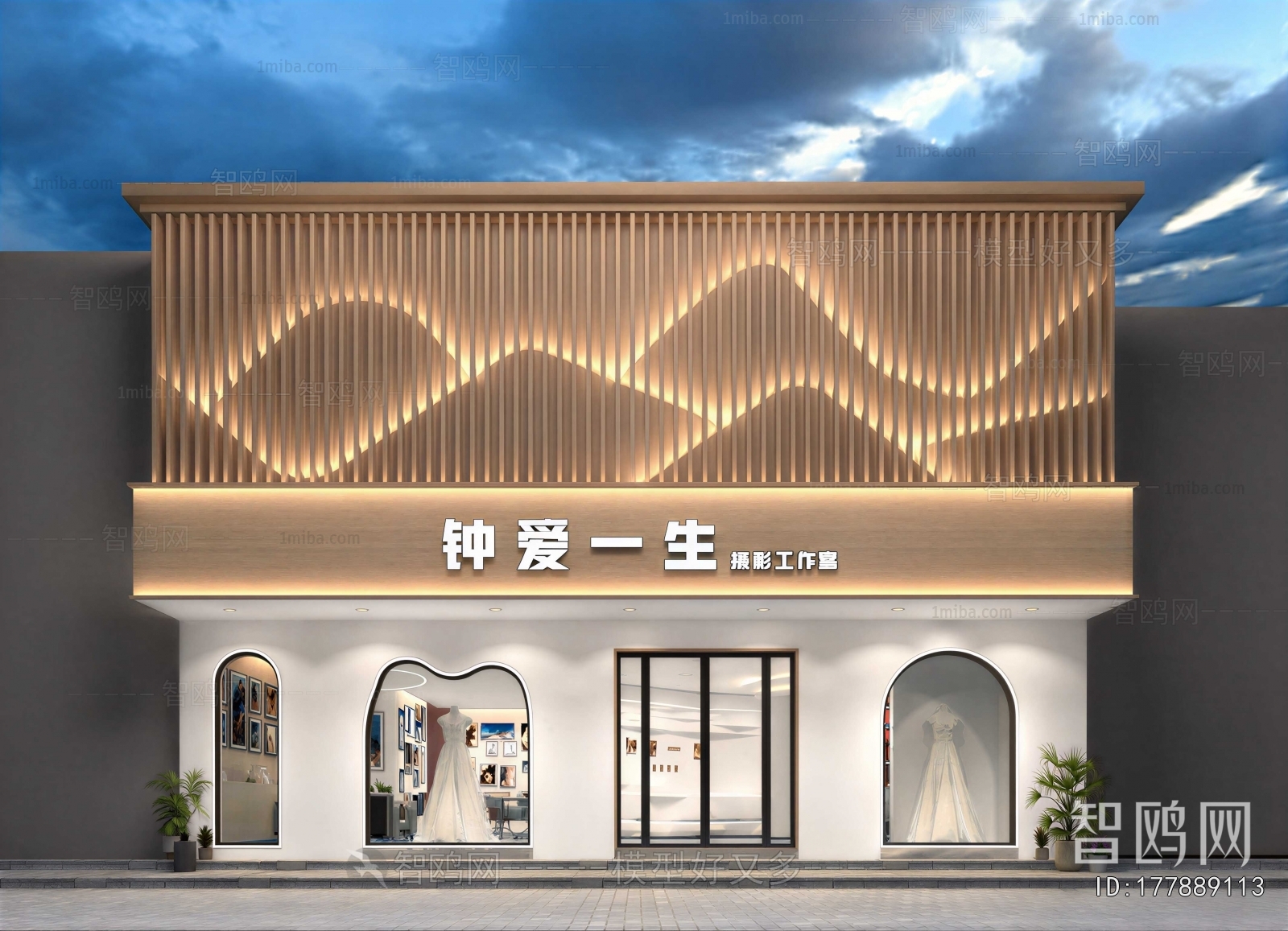 Modern Facade Element