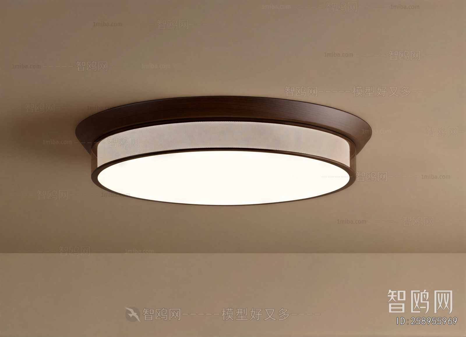 Modern Ceiling Ceiling Lamp