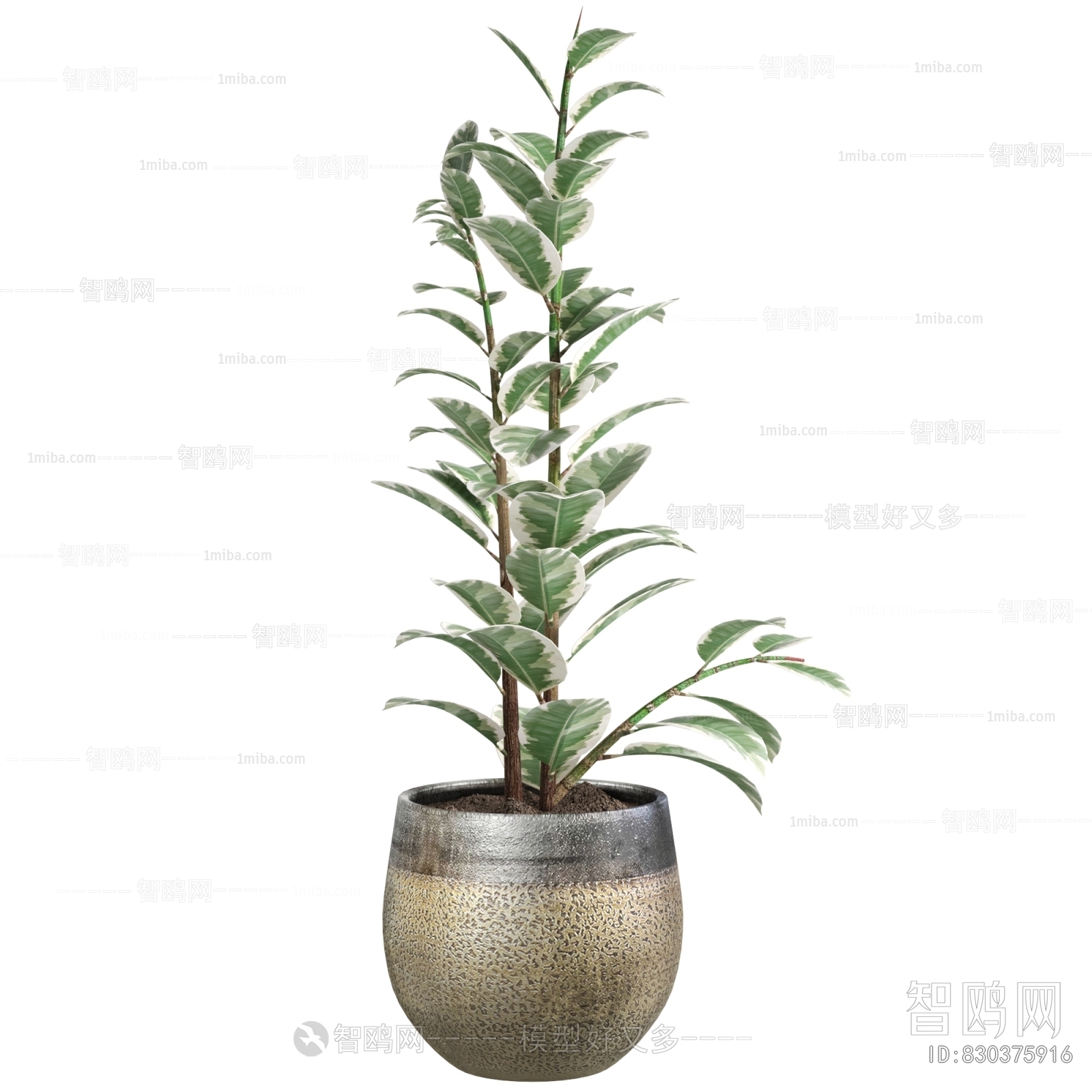 Modern Ground Green Plant Potted Plants