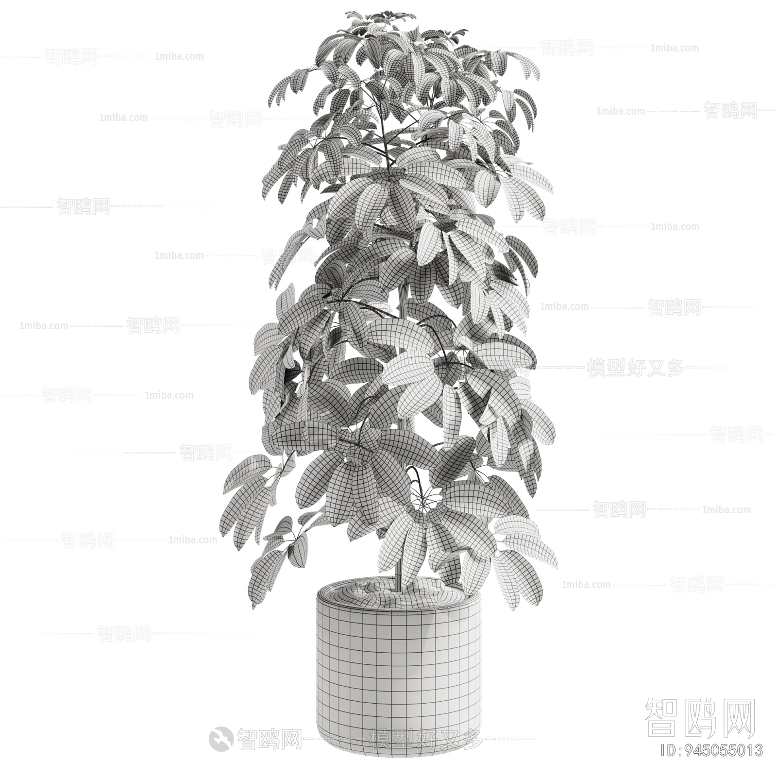 Modern Ground Green Plant Potted Plants