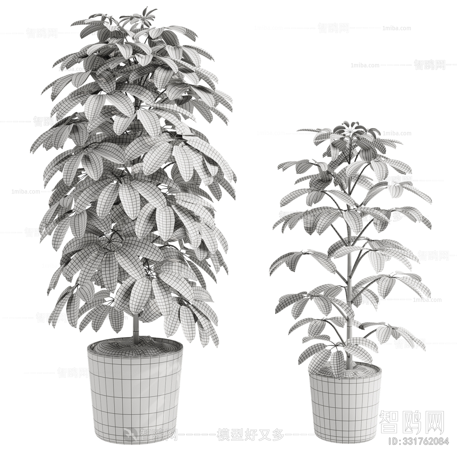 Modern Ground Green Plant Potted Plants