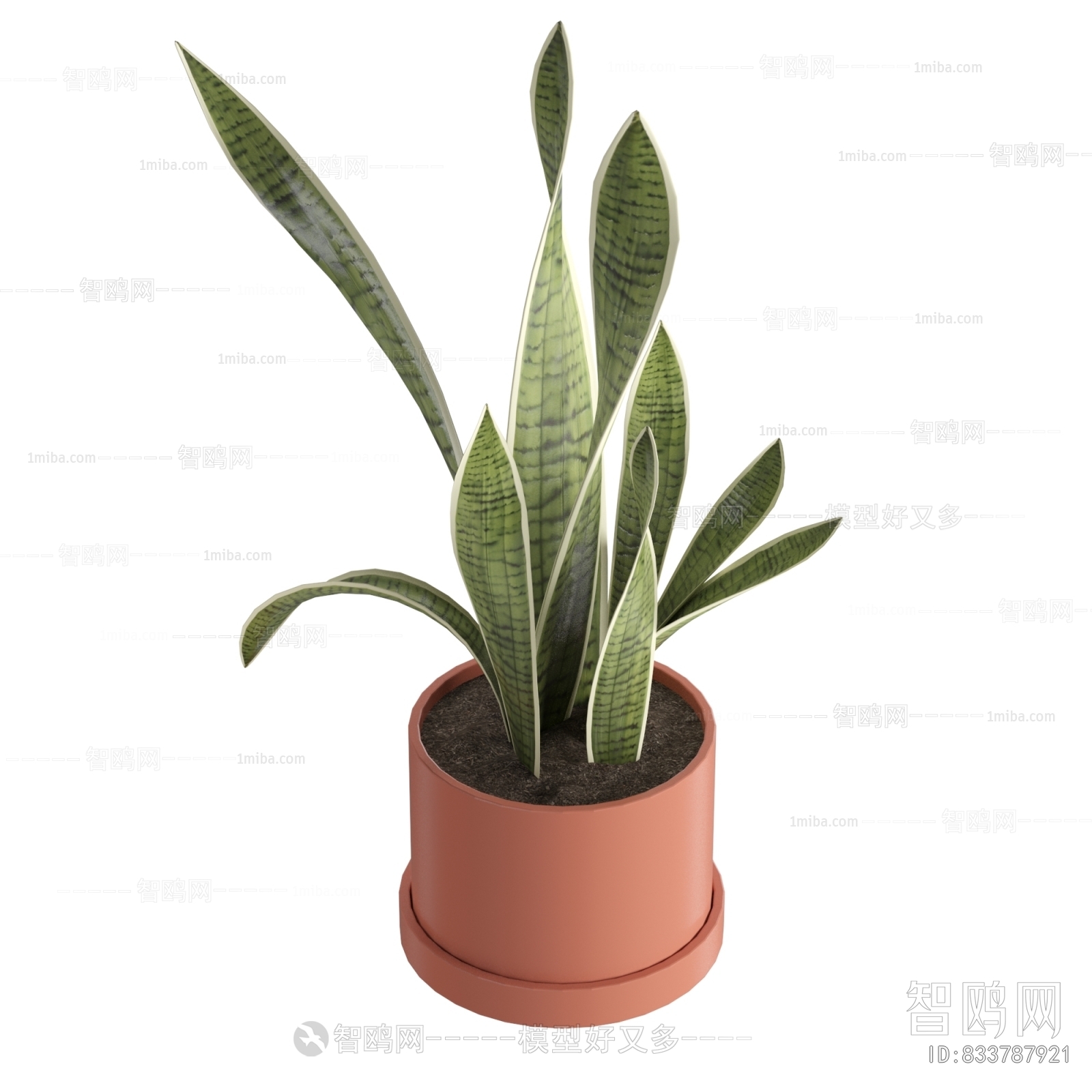 Modern Potted Green Plant