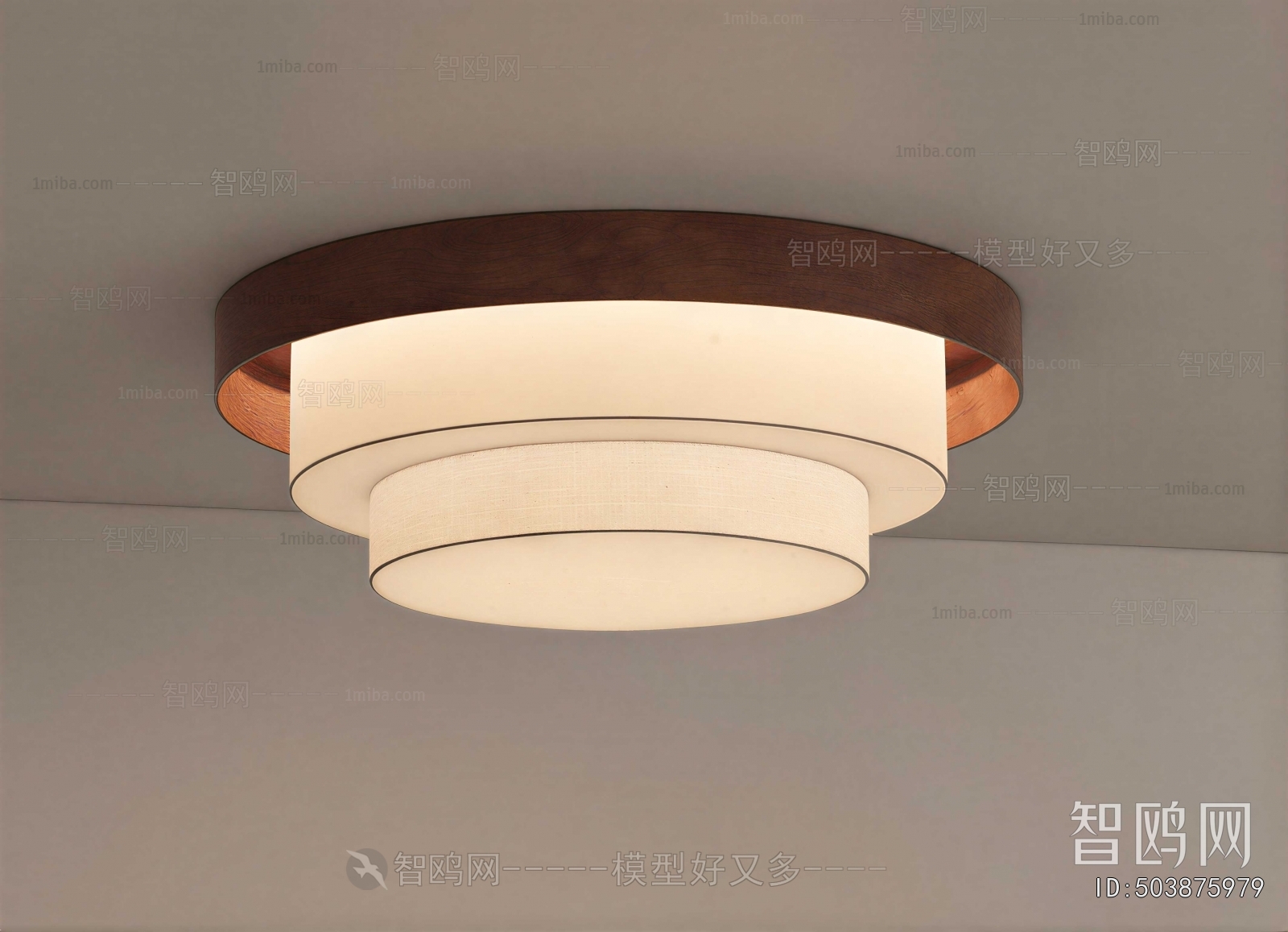 Modern Ceiling Ceiling Lamp