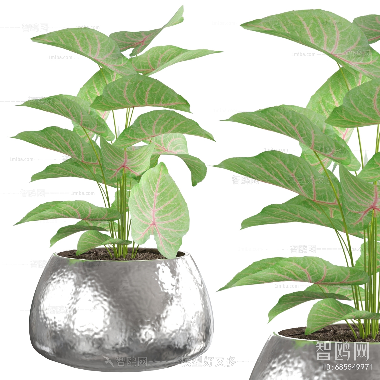 Modern Potted Green Plant