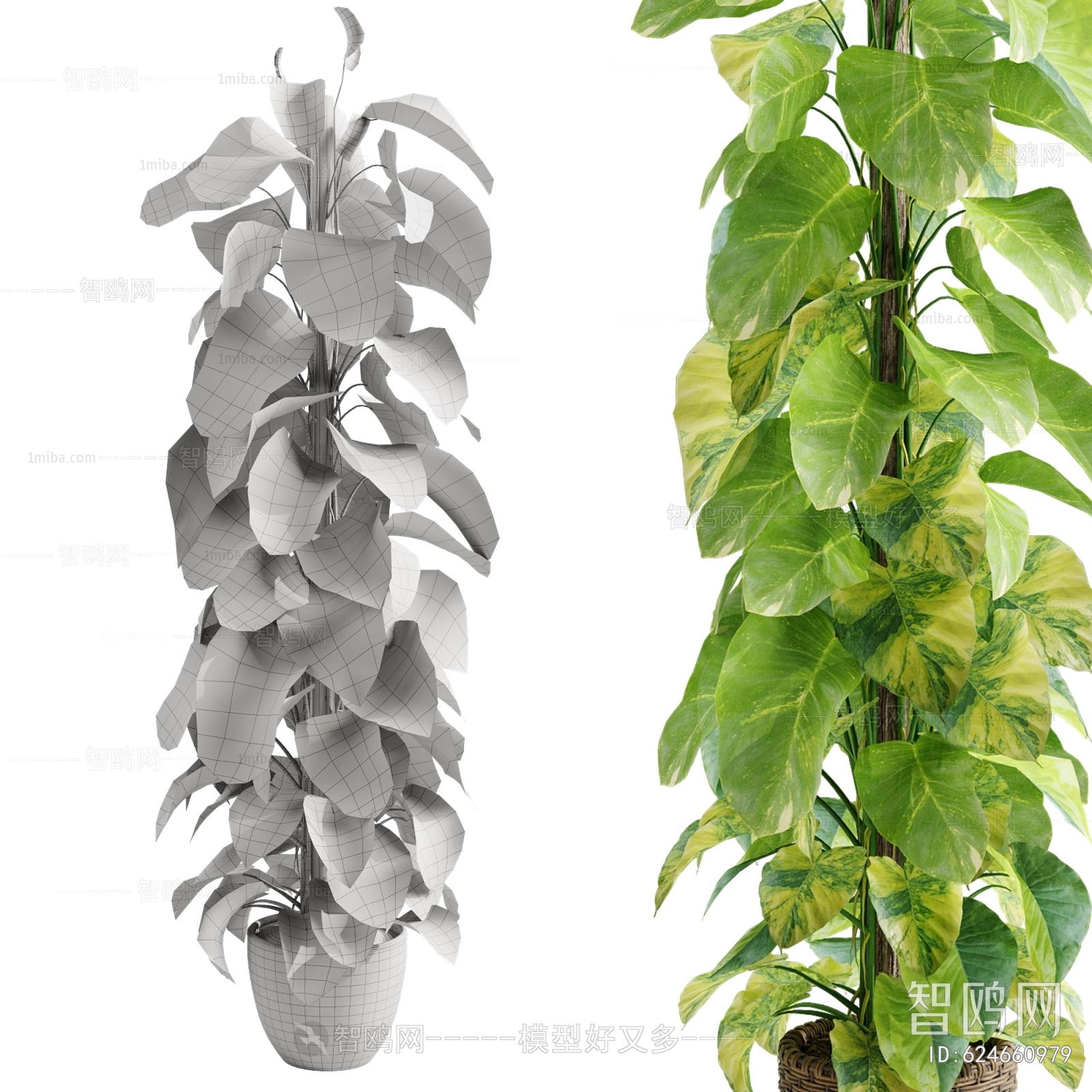 Modern Ground Green Plant Potted Plants