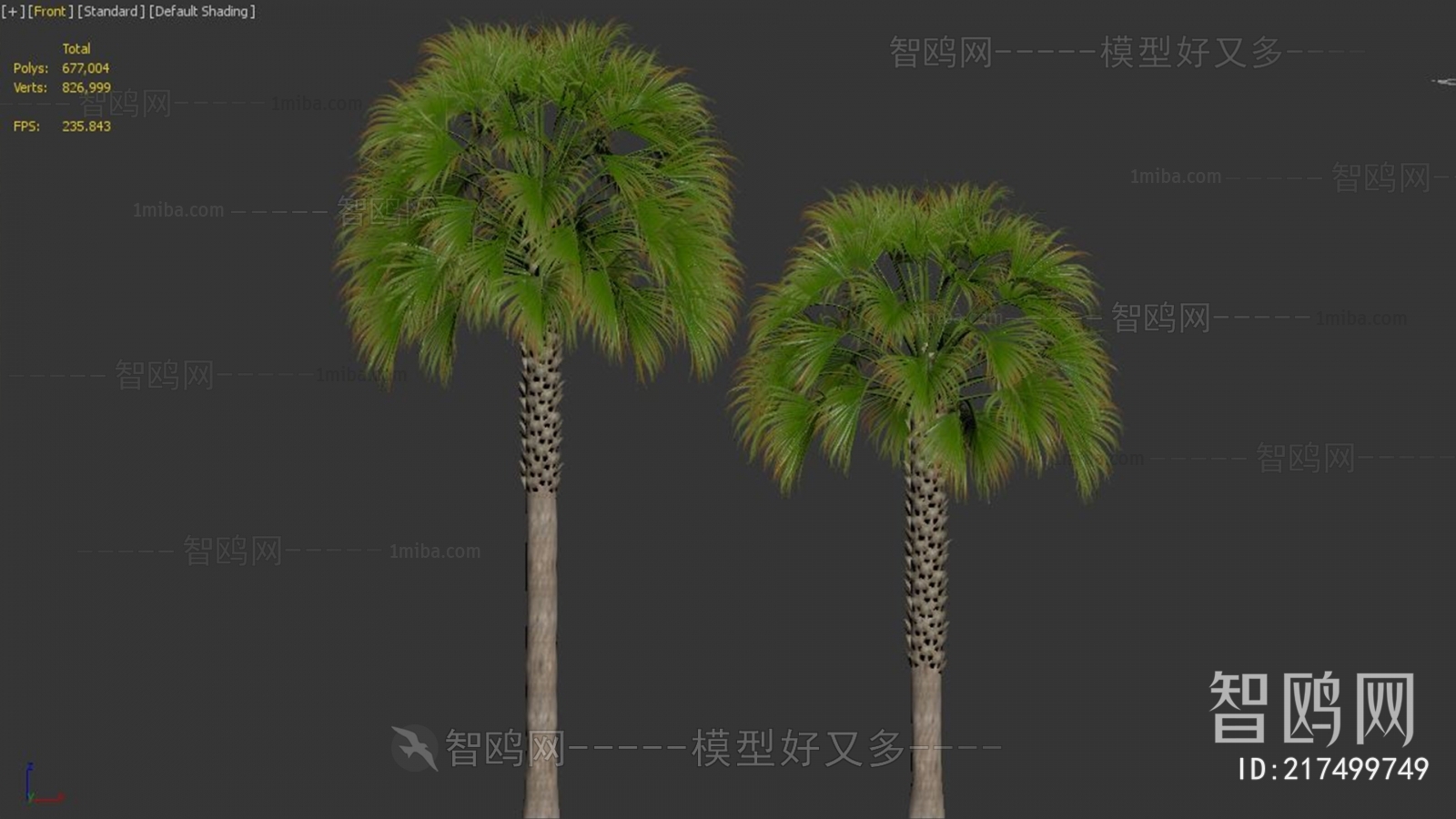 Modern Tree