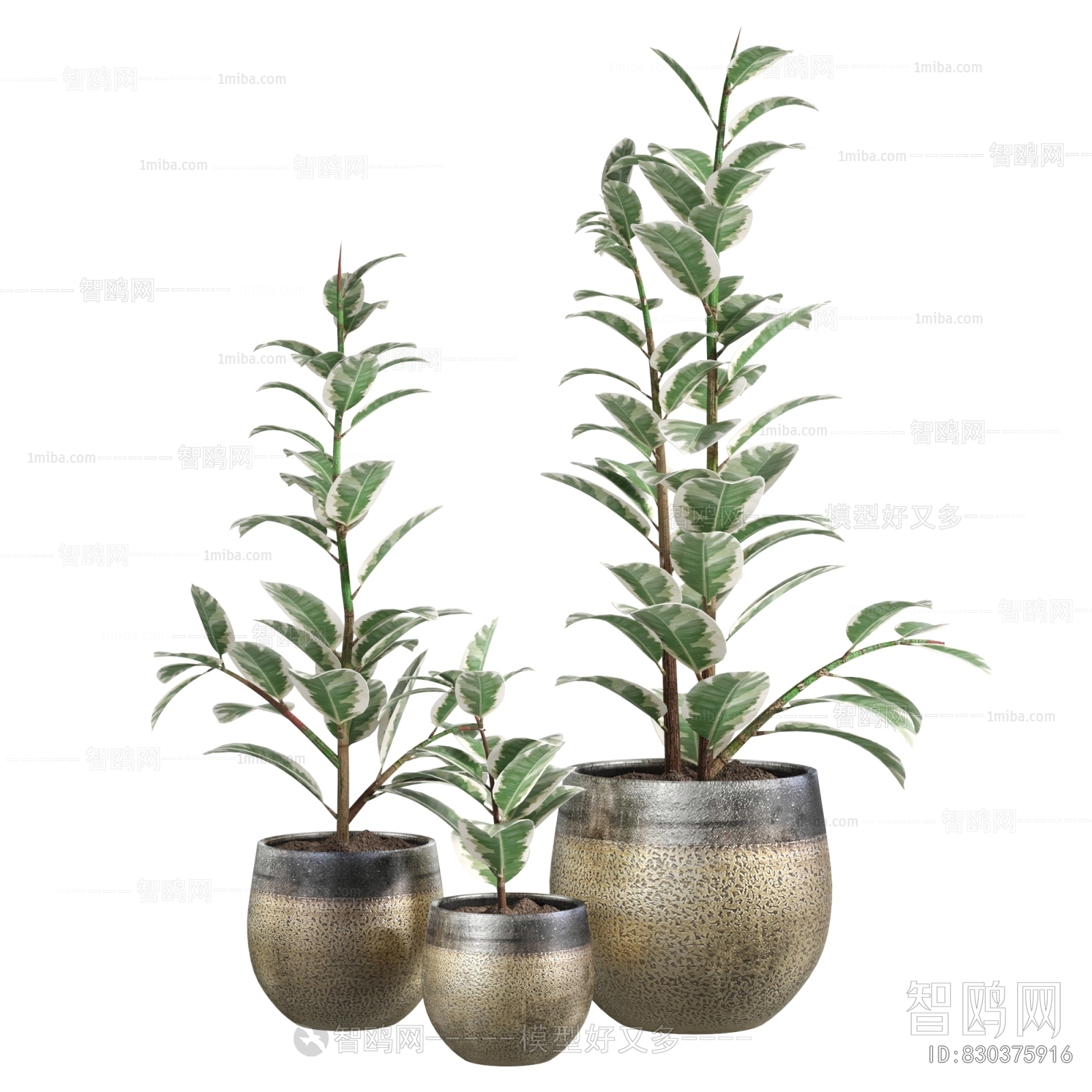 Modern Ground Green Plant Potted Plants