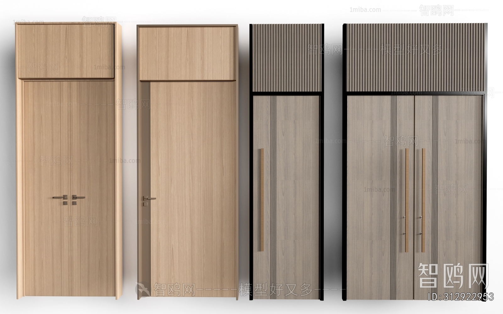 Modern Door