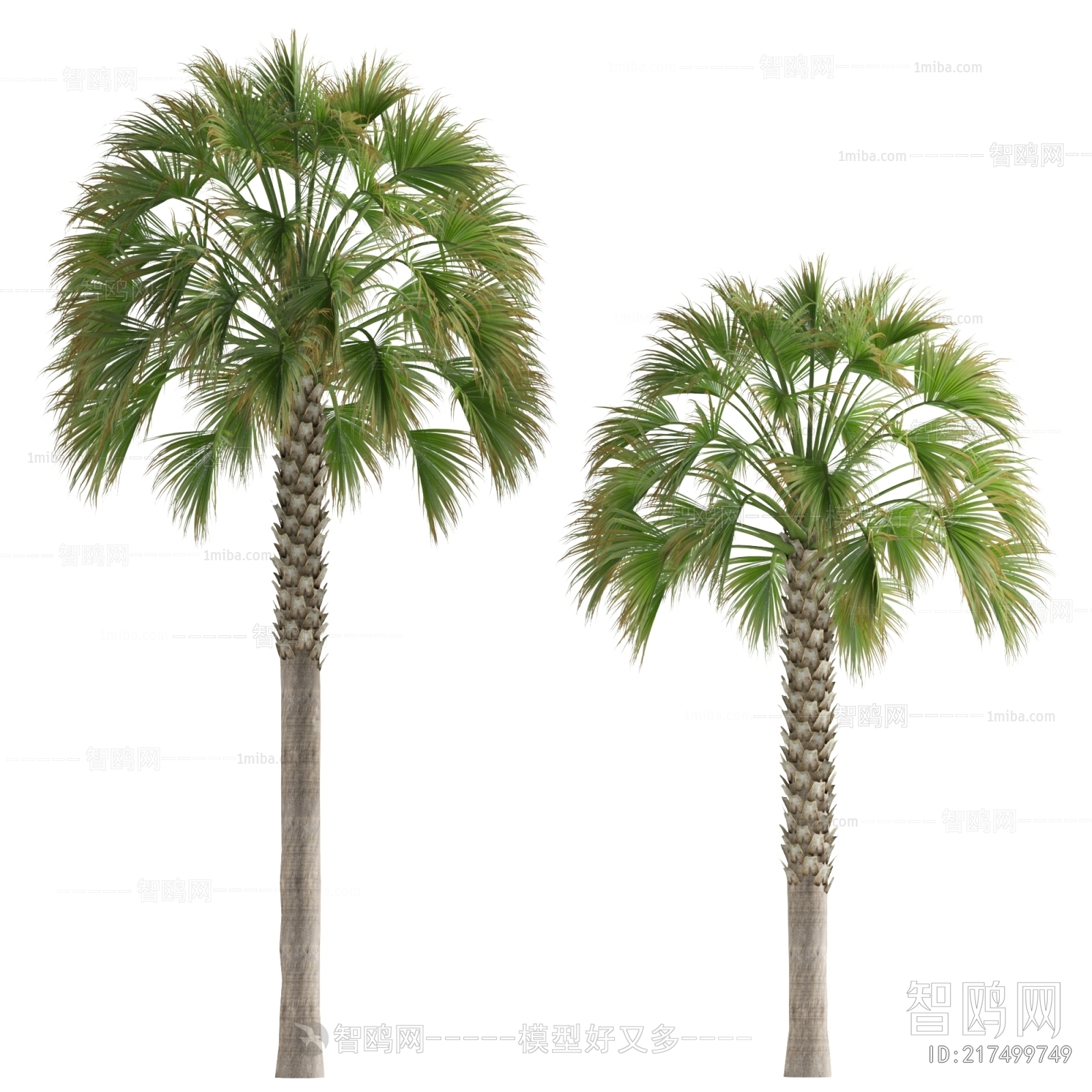 Modern Tree