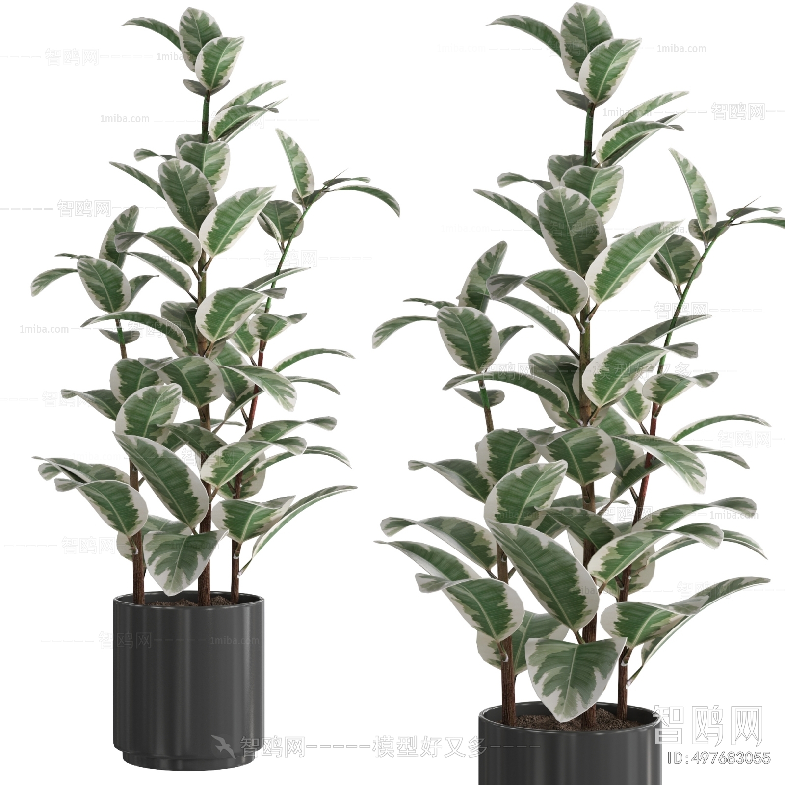 Modern Ground Green Plant Potted Plants