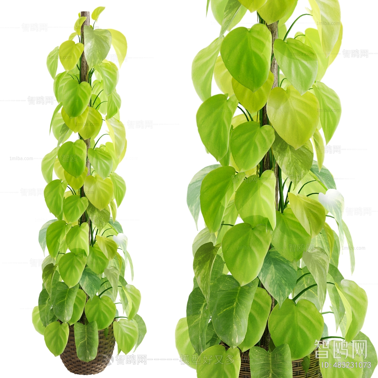 Modern Ground Green Plant Potted Plants