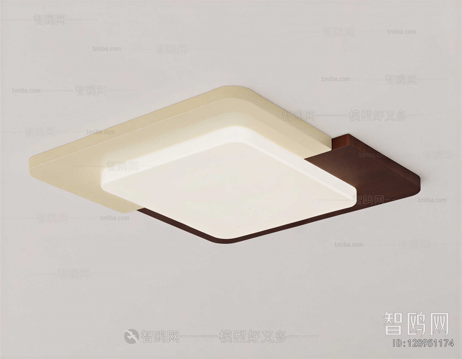 Modern Ceiling Ceiling Lamp