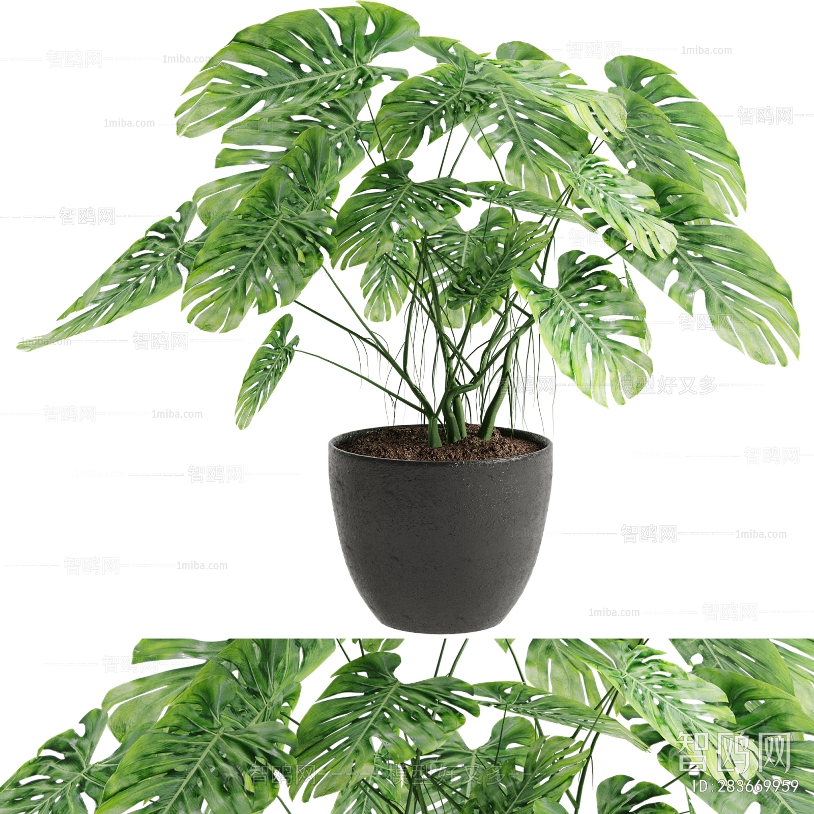 Modern Potted Green Plant