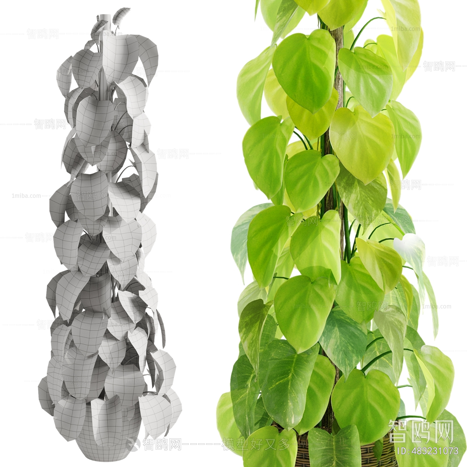 Modern Ground Green Plant Potted Plants