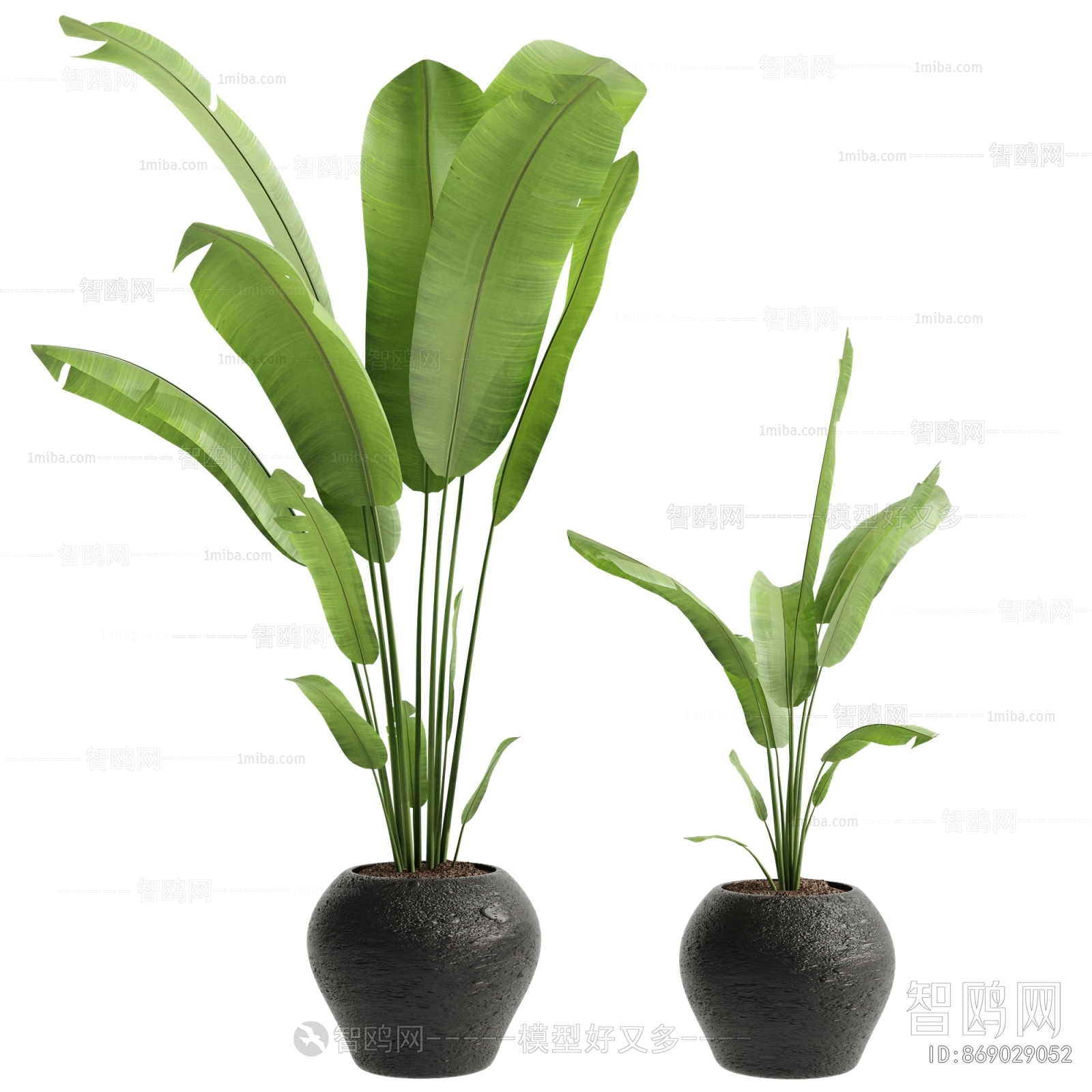Modern Ground Green Plant Potted Plants