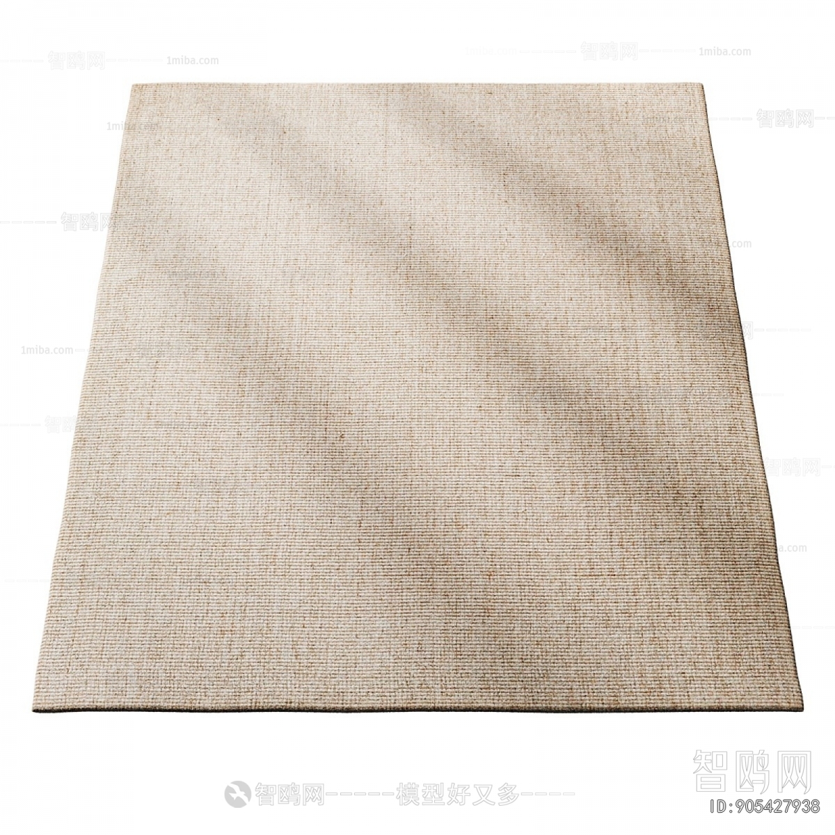 Modern The Carpet