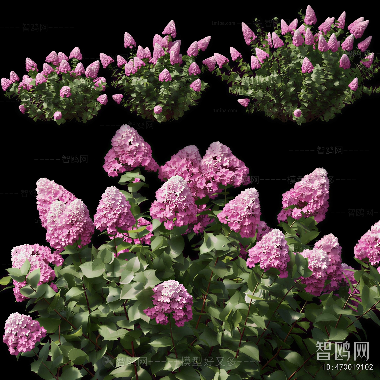 Modern Flowers And Grass