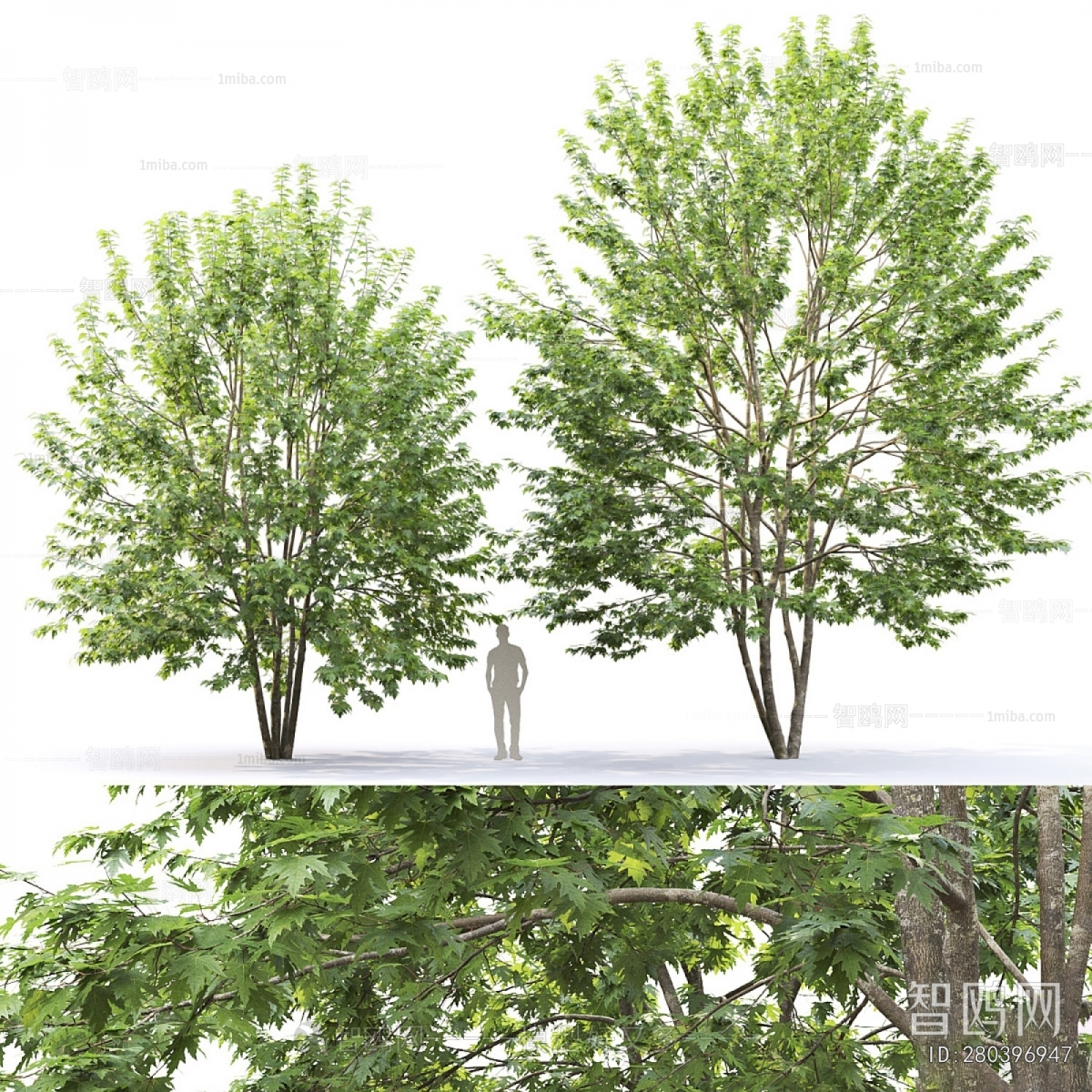 Modern Tree