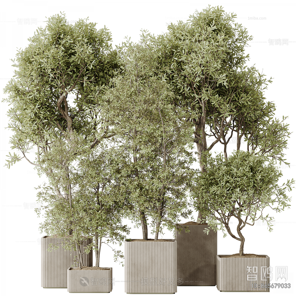 Modern Ground Green Plant Potted Plants