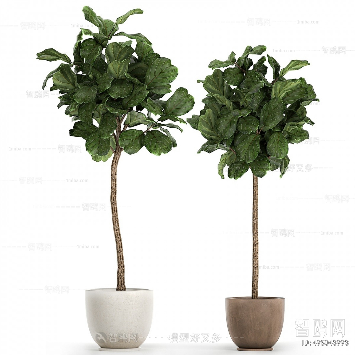 Modern Ground Green Plant Potted Plants