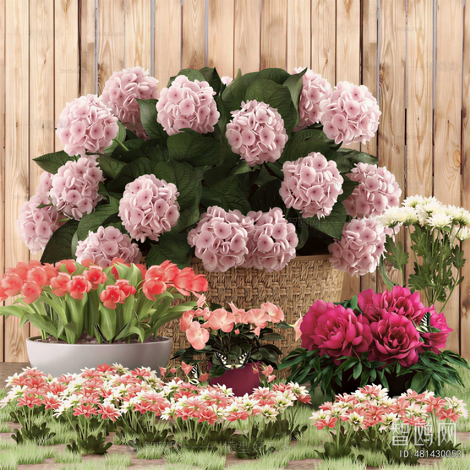Modern Flowers