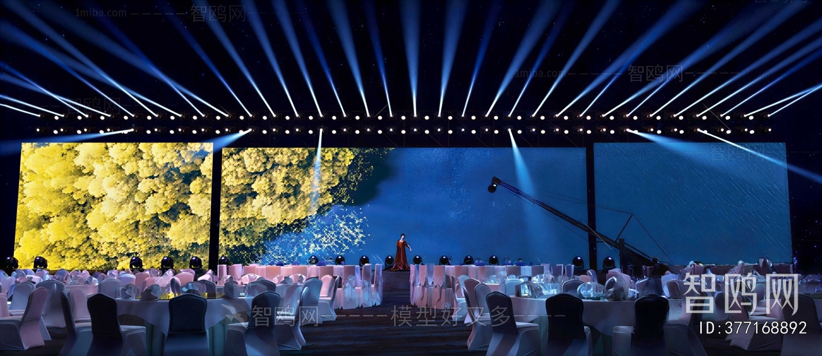 Modern Stage Performance