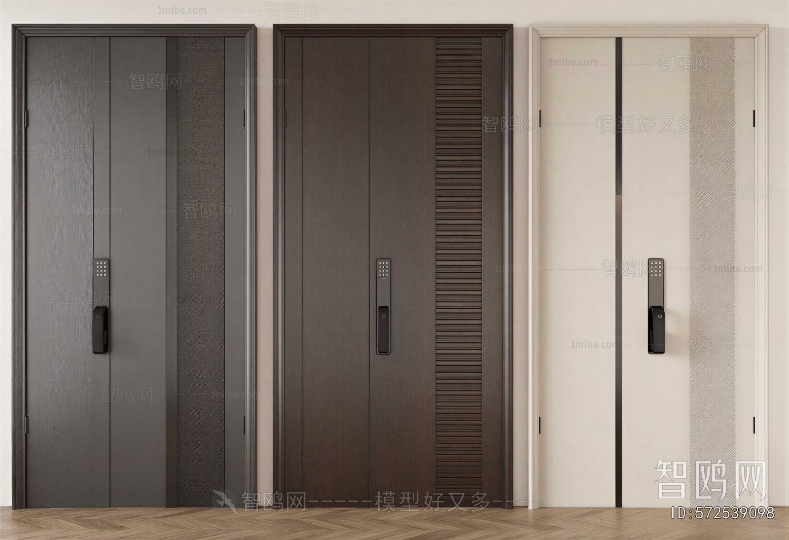 Modern Entrance Door