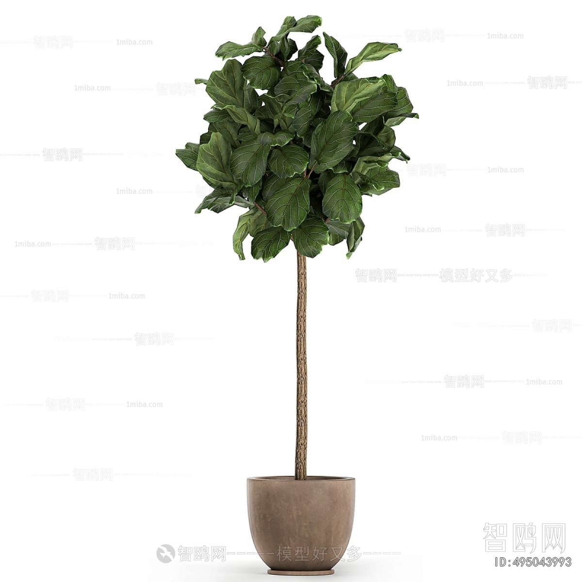 Modern Ground Green Plant Potted Plants