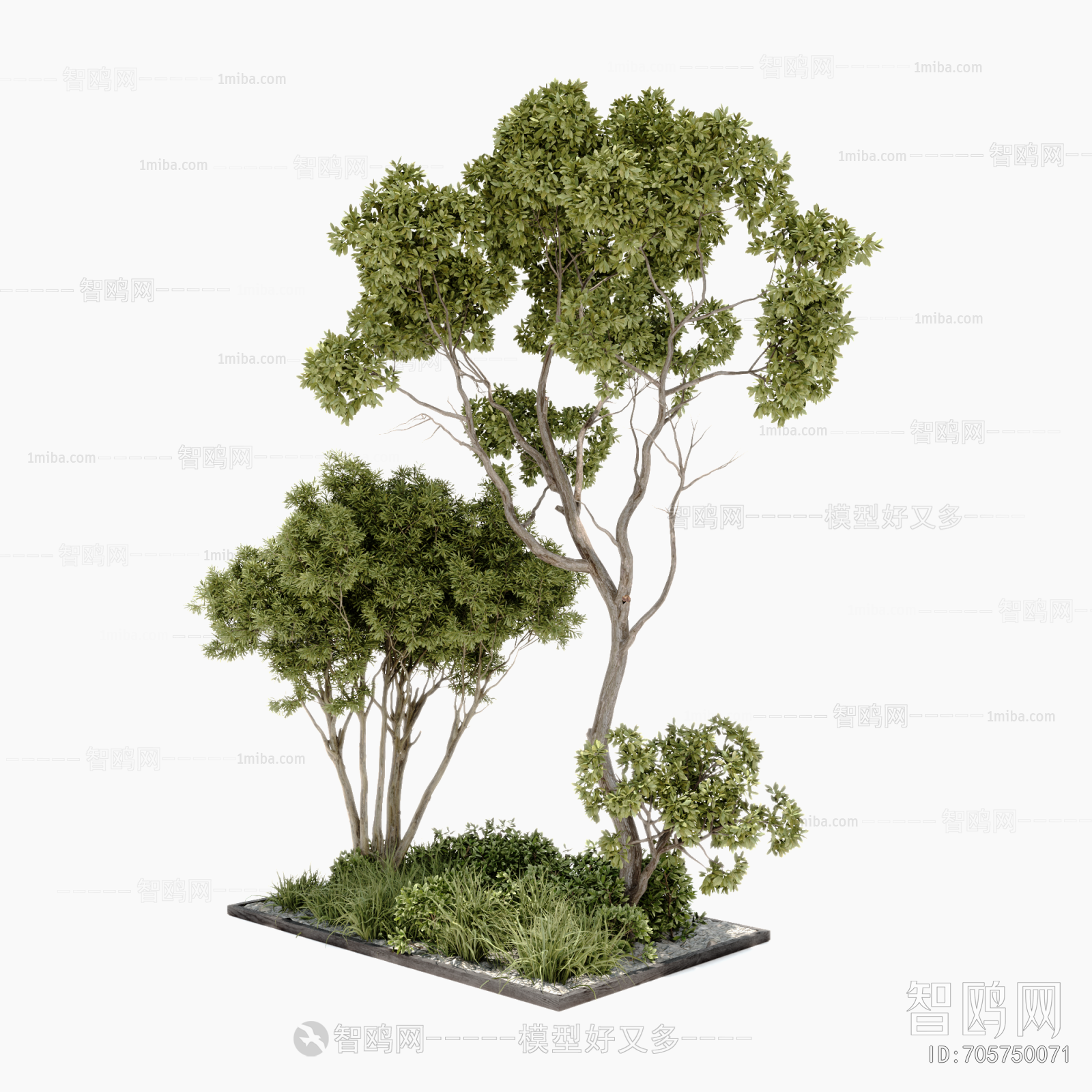 Modern Tree