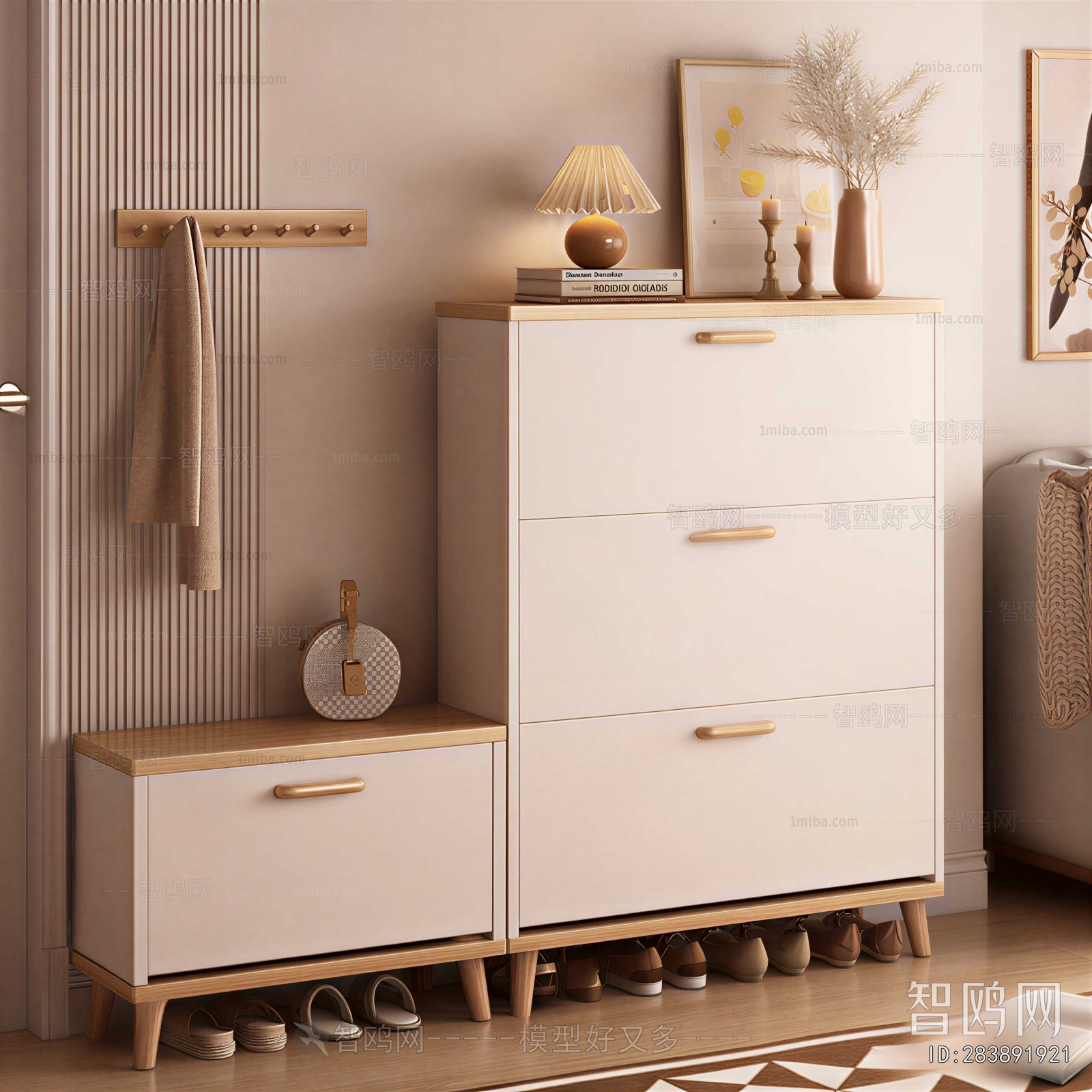Modern Shoe Cabinet