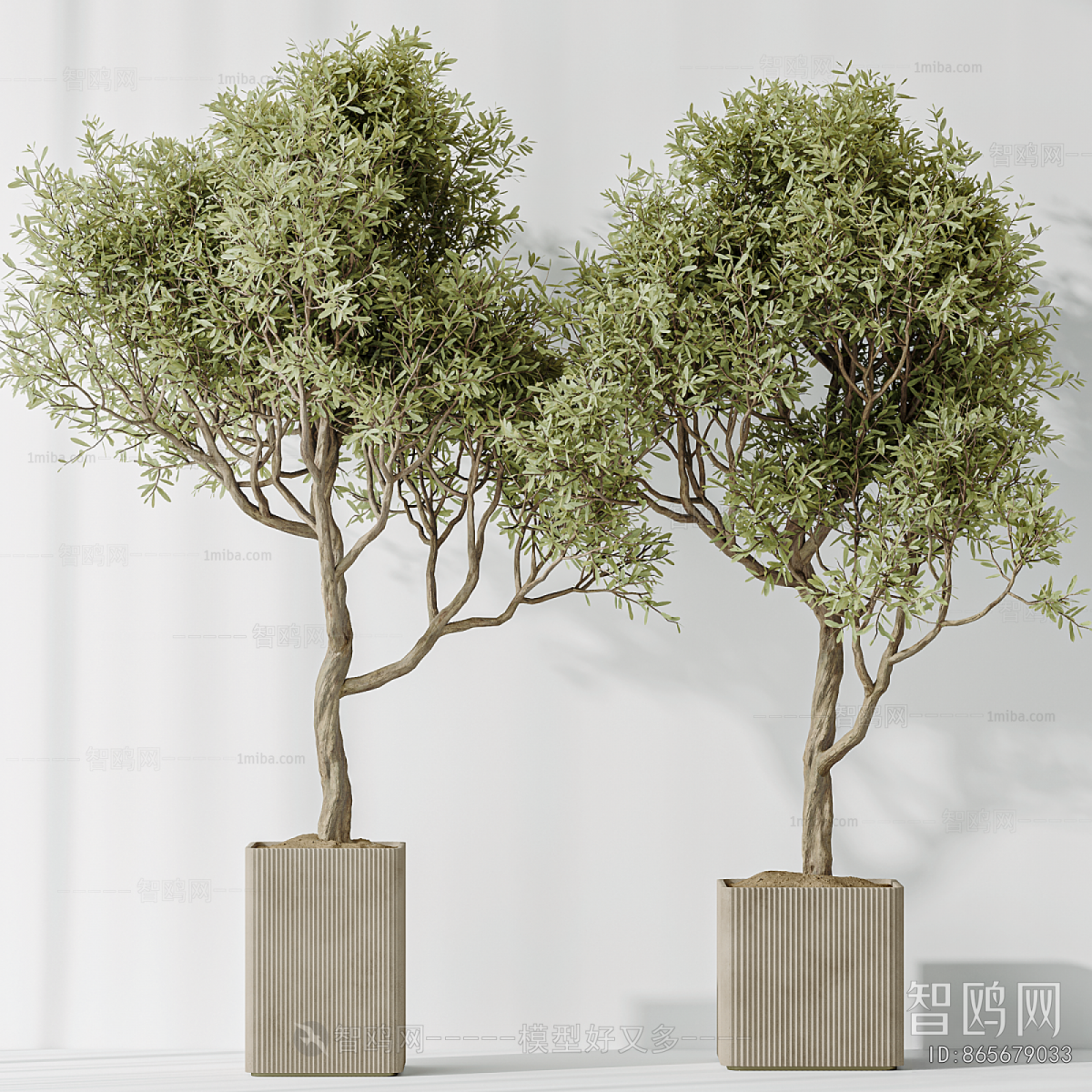 Modern Ground Green Plant Potted Plants