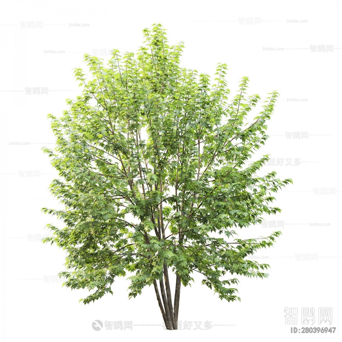 Modern Tree