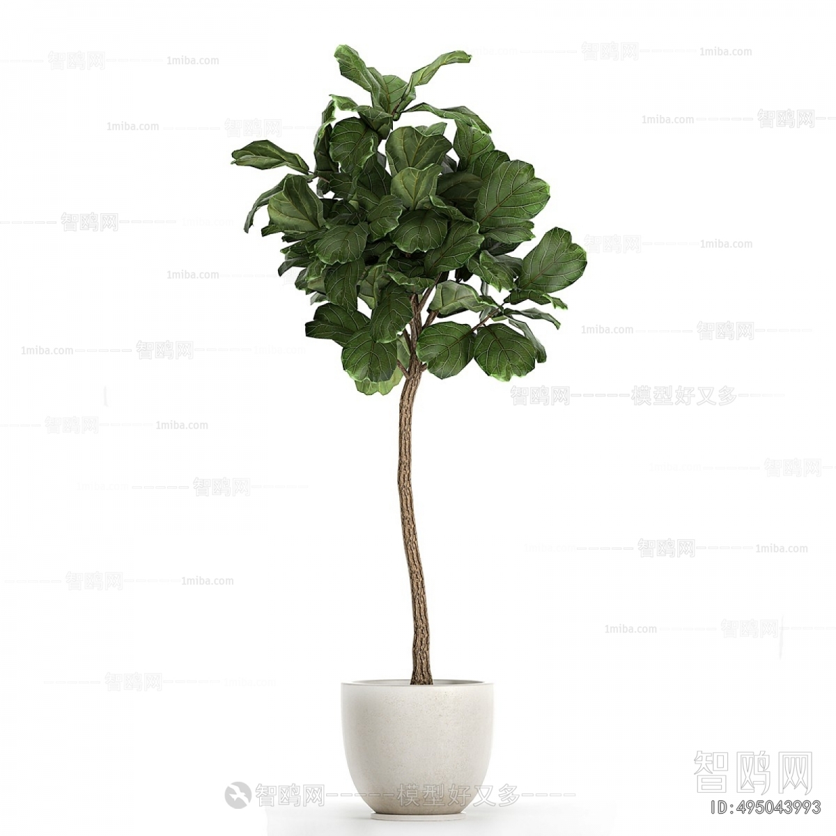 Modern Ground Green Plant Potted Plants