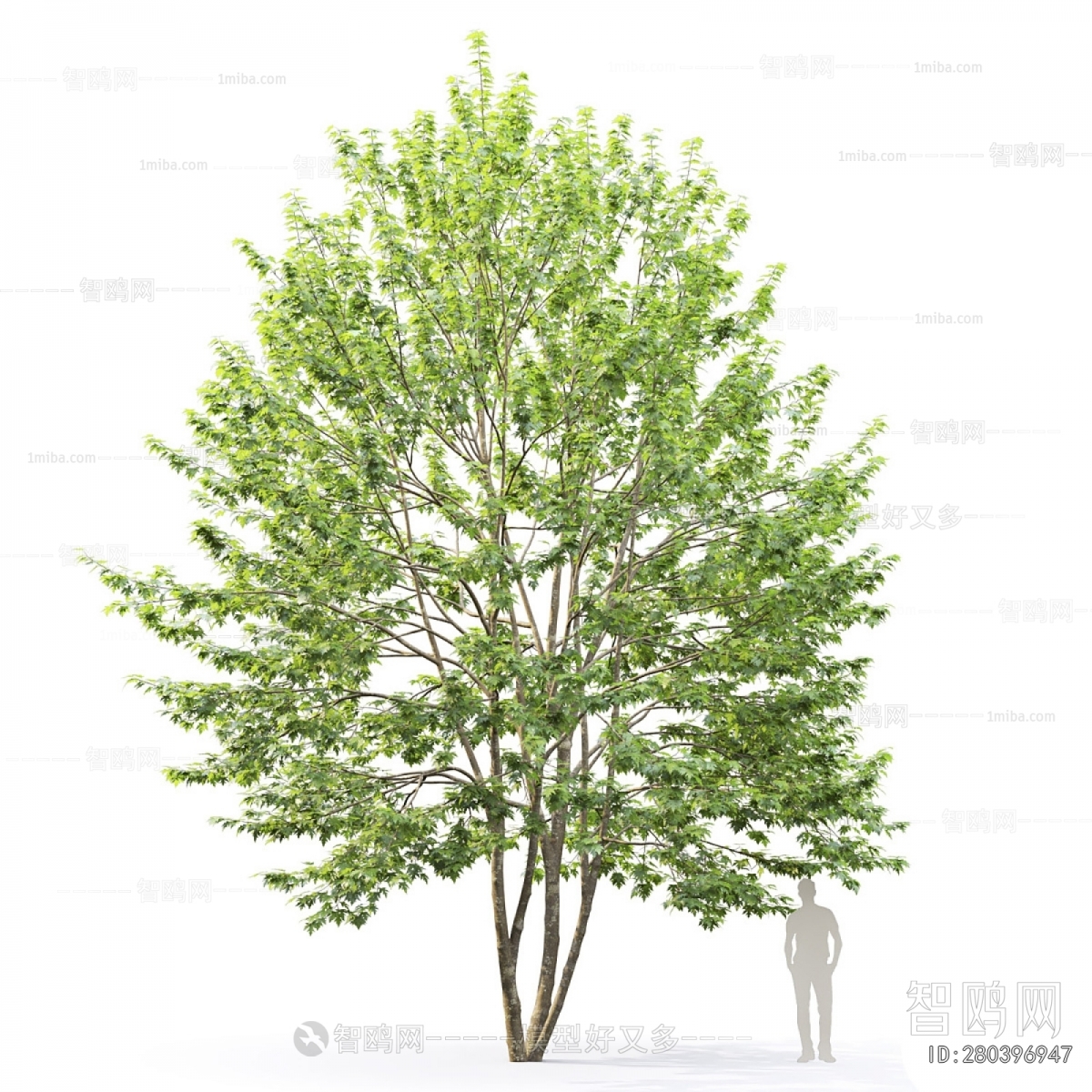 Modern Tree