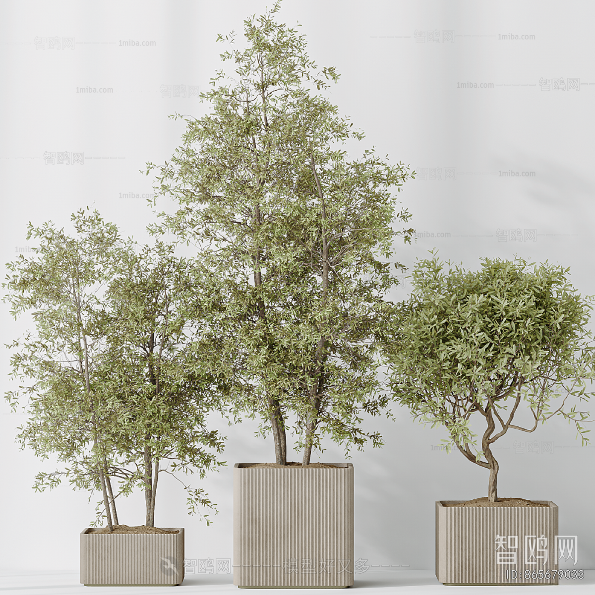 Modern Ground Green Plant Potted Plants
