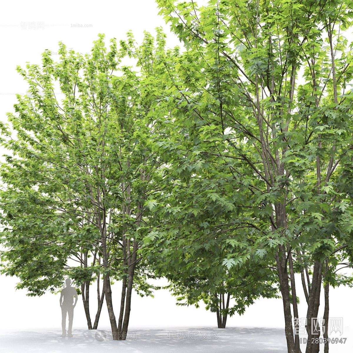 Modern Tree