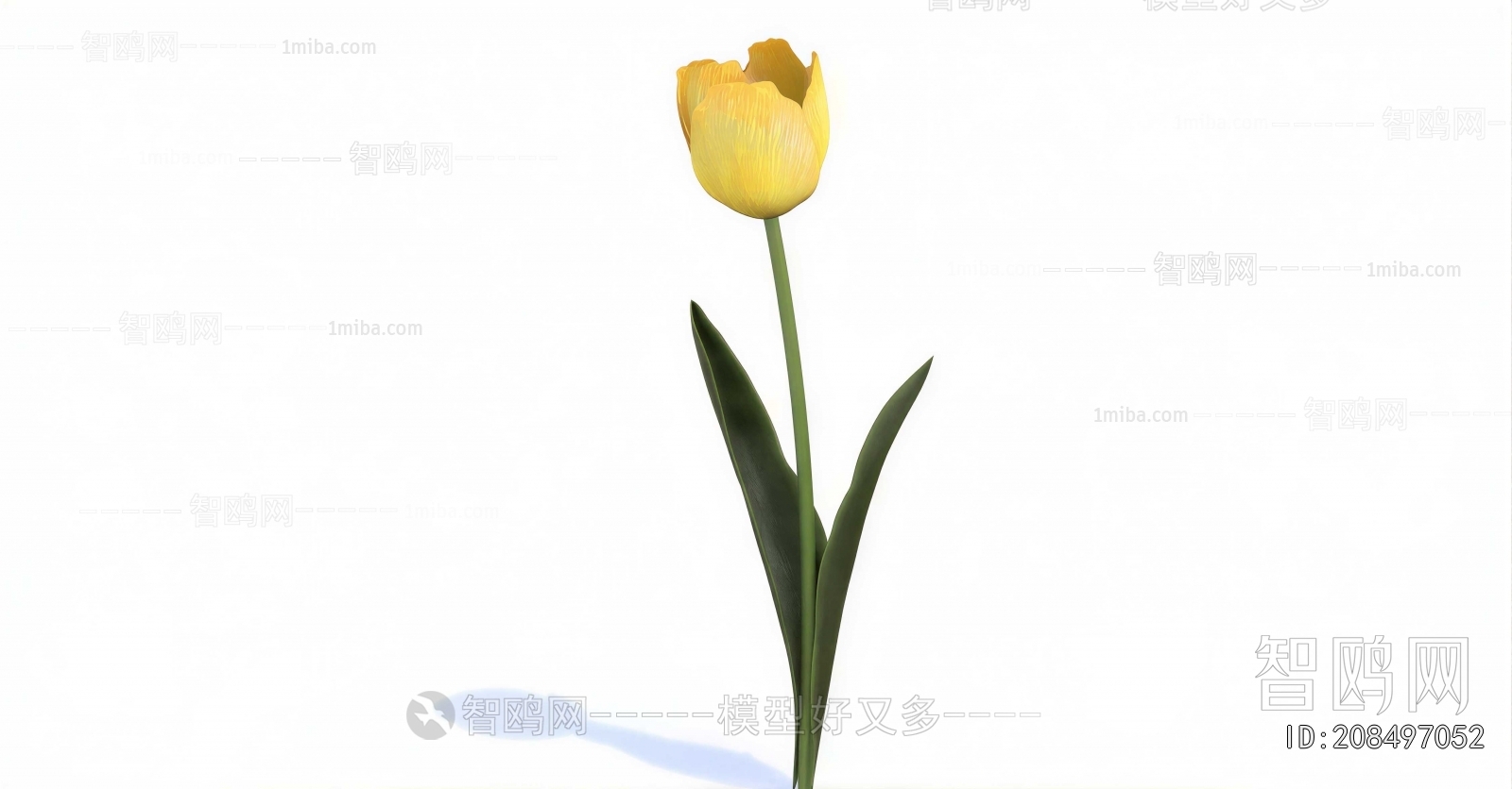 Modern Flowers And Grass