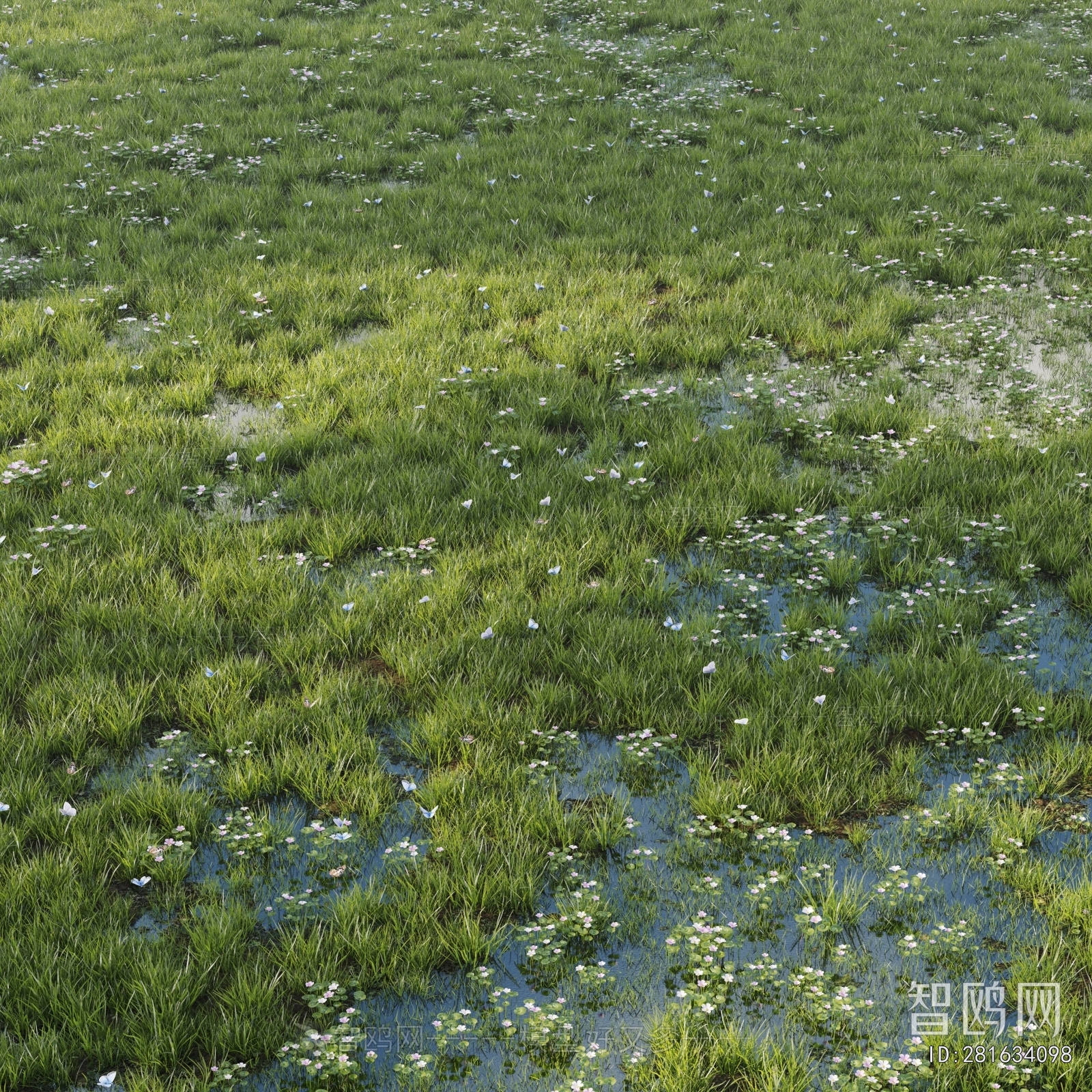Modern The Grass