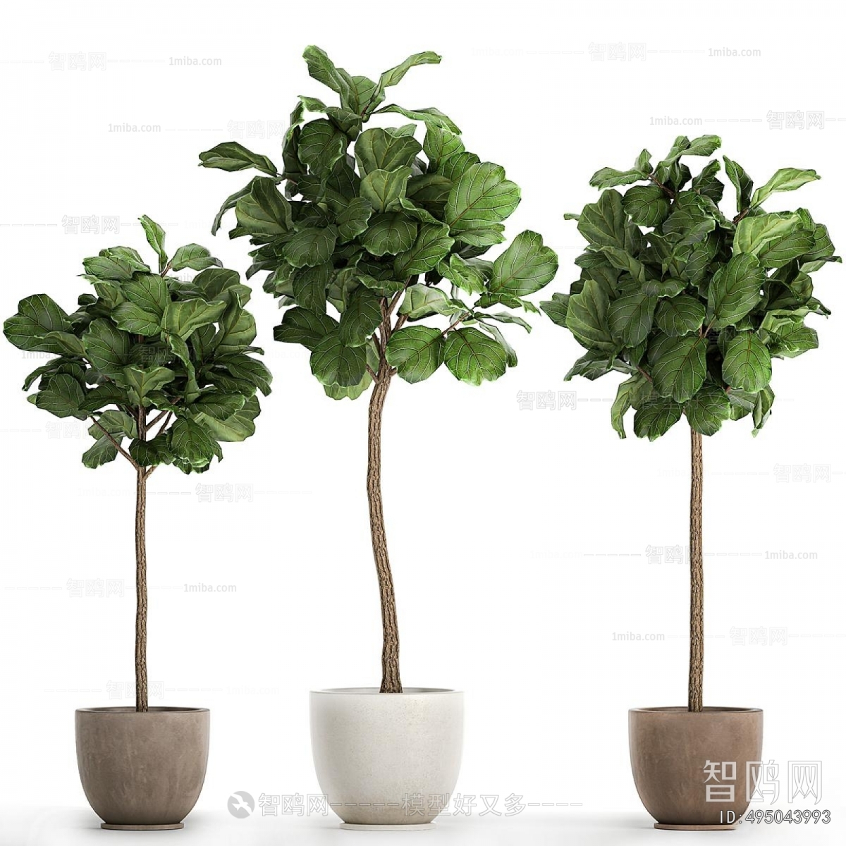 Modern Ground Green Plant Potted Plants