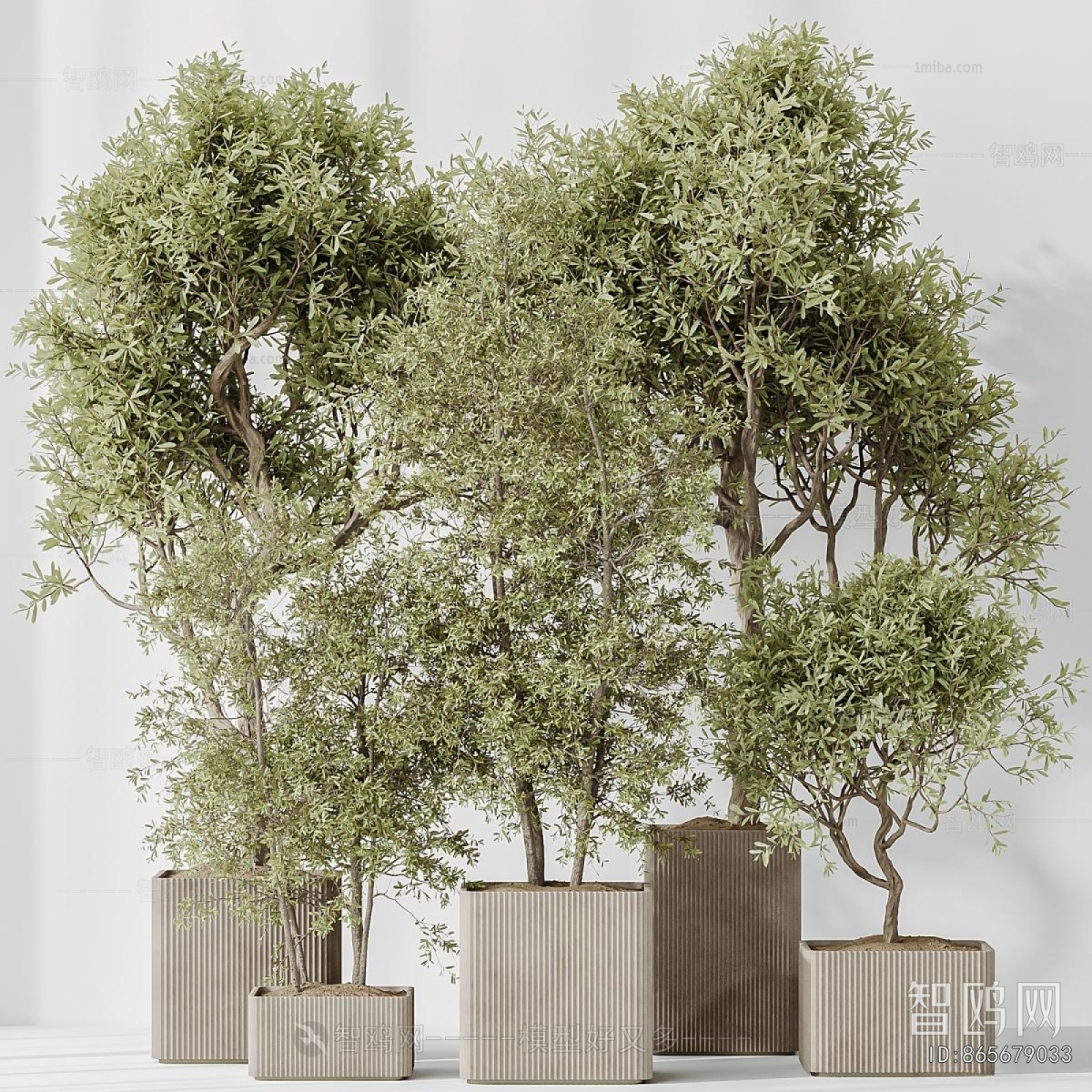 Modern Ground Green Plant Potted Plants