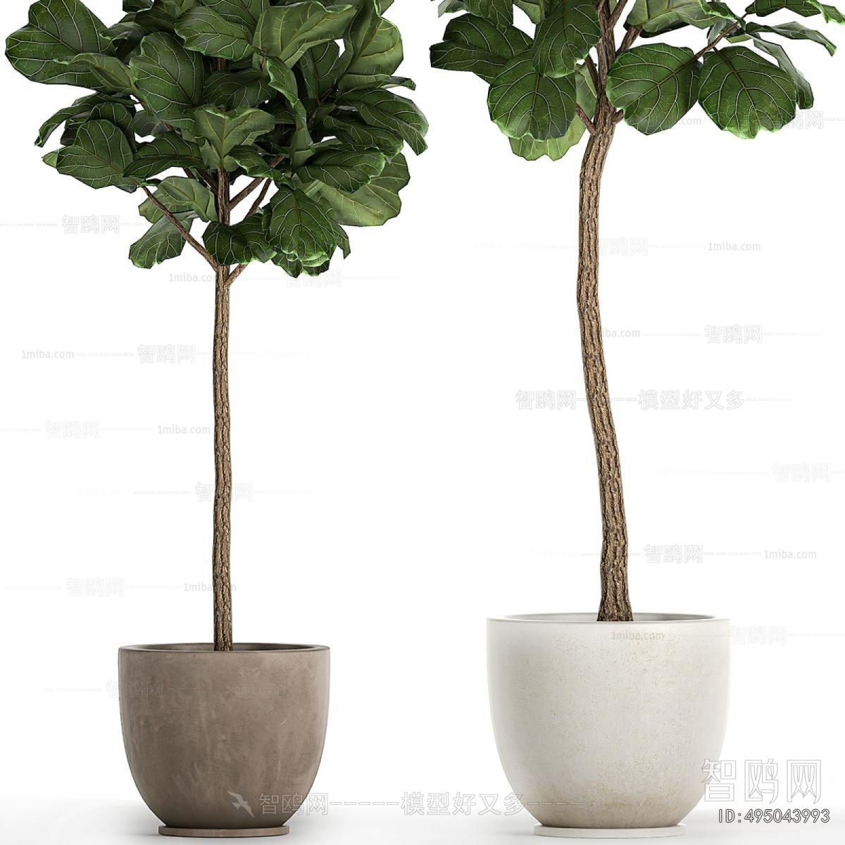 Modern Ground Green Plant Potted Plants