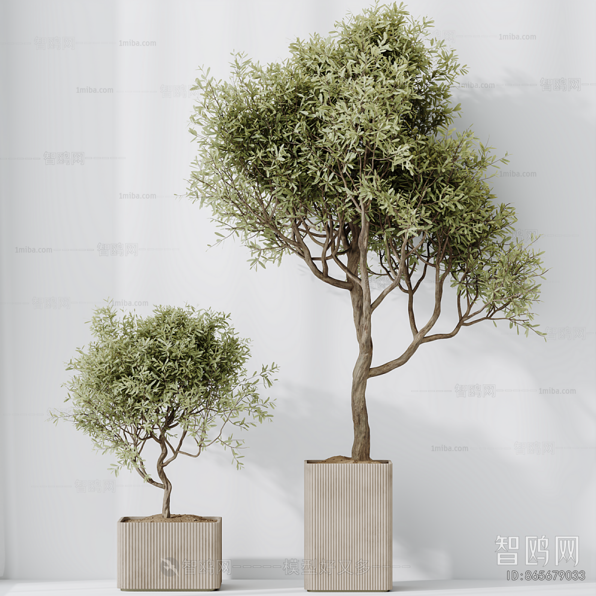 Modern Ground Green Plant Potted Plants