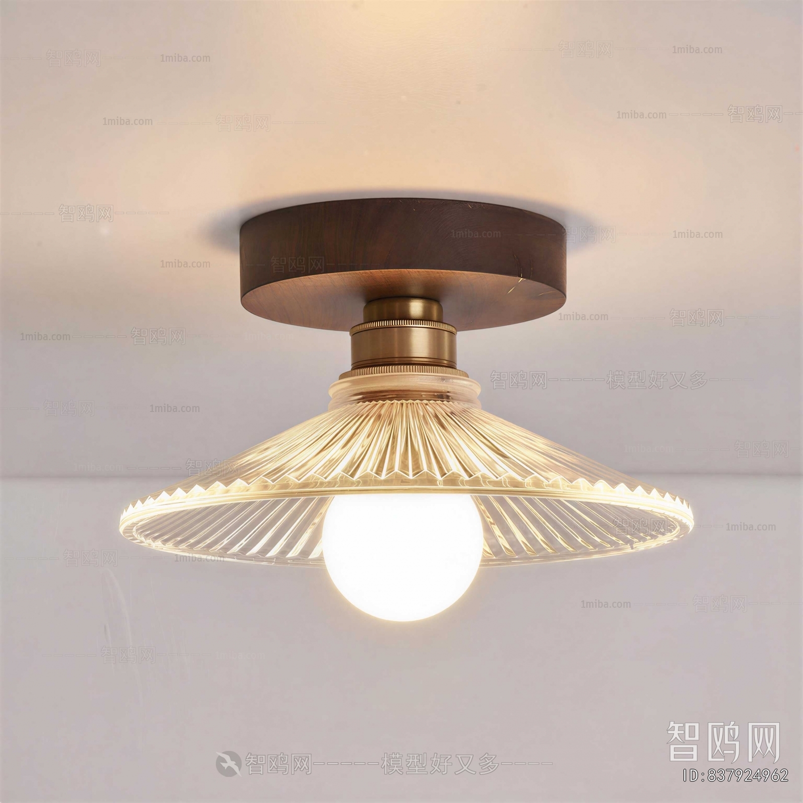 Modern Ceiling Ceiling Lamp