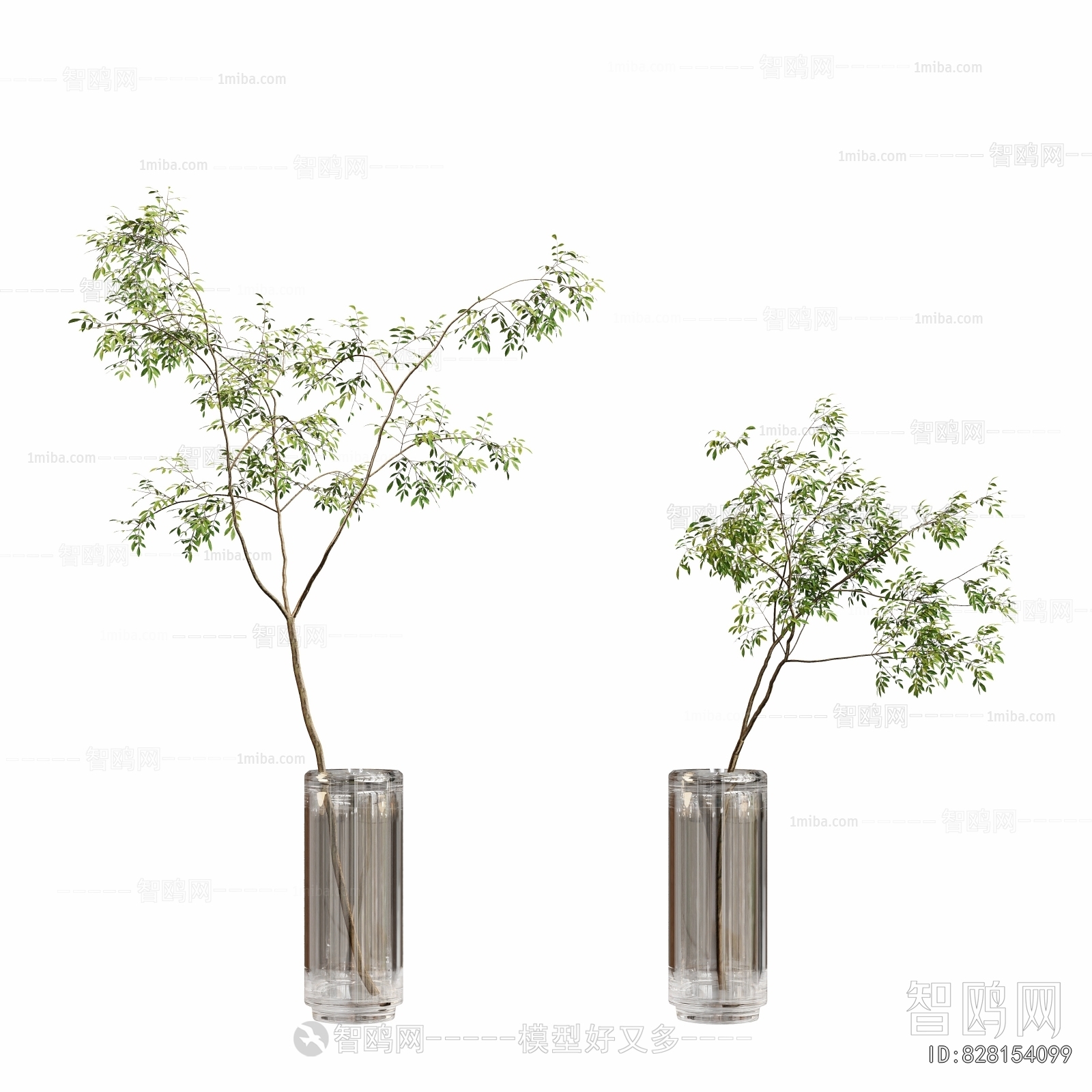 Modern Aquatic Green Plant