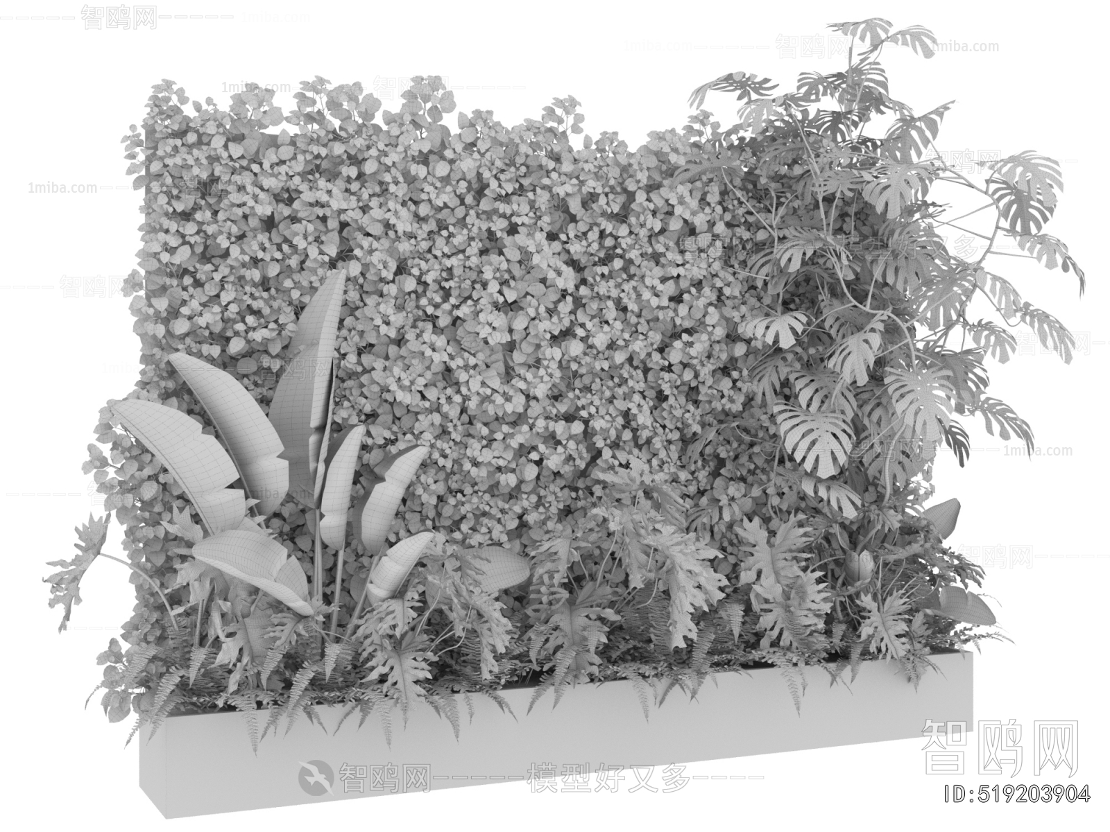 Modern Plant Wall