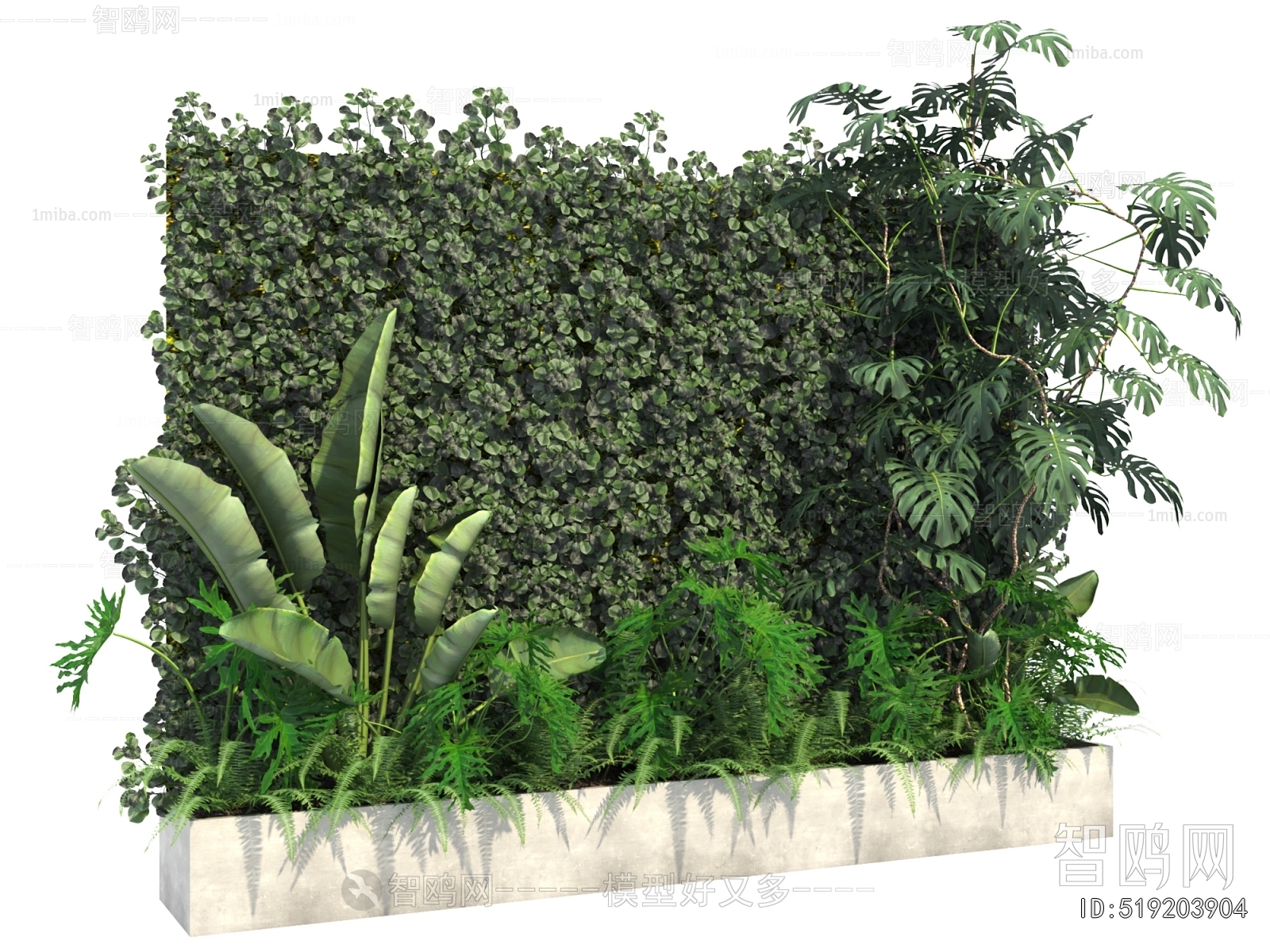 Modern Plant Wall