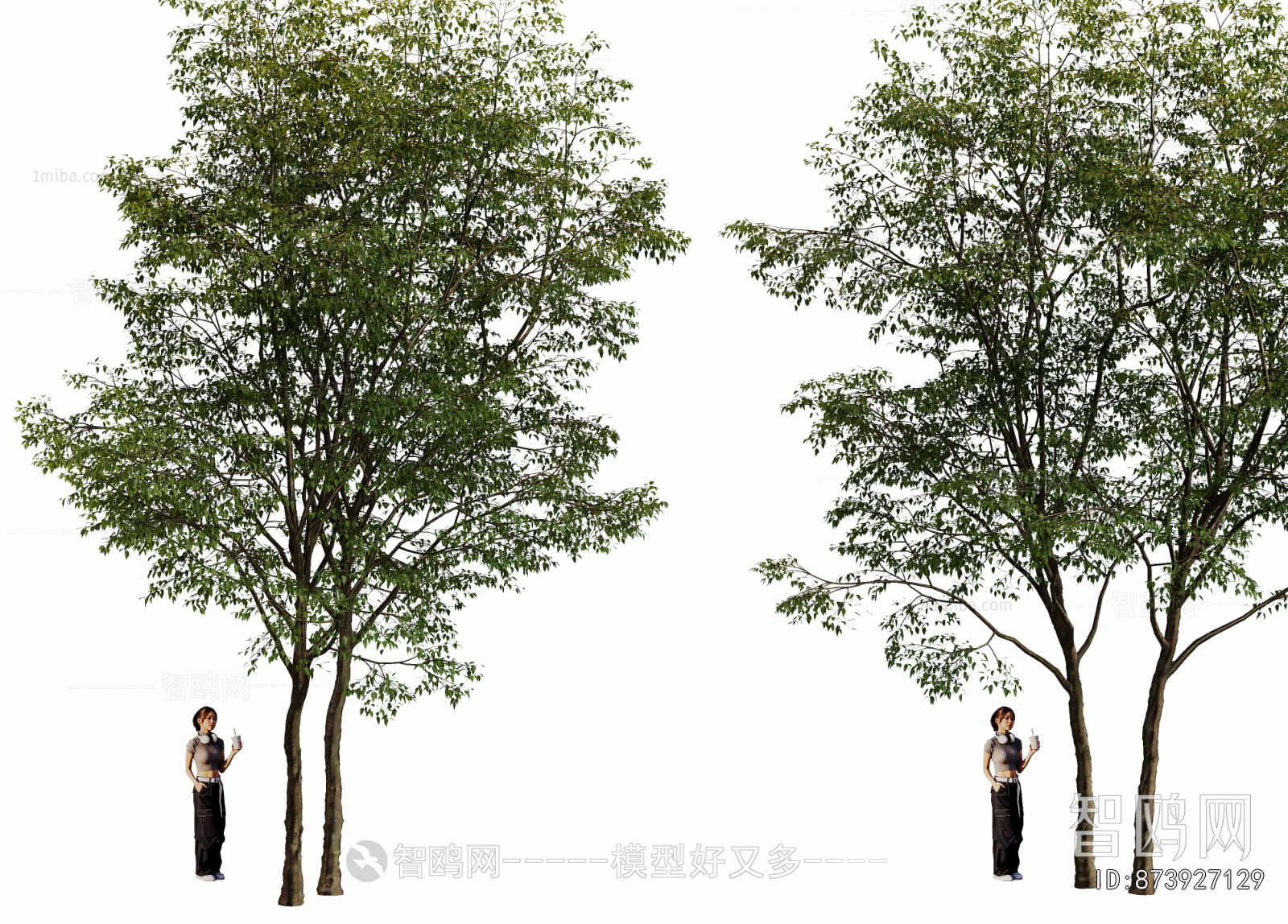 Modern Tree