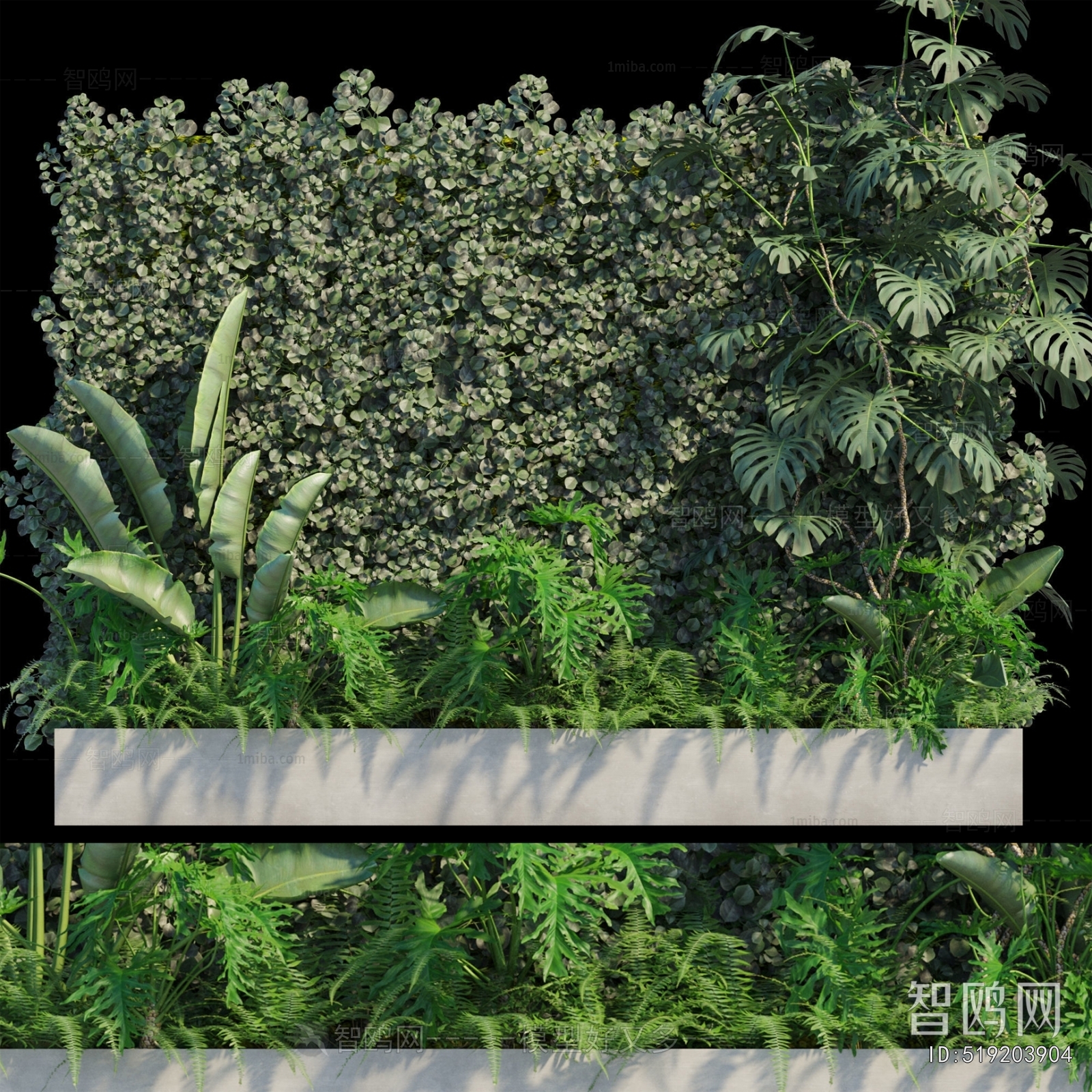 Modern Plant Wall