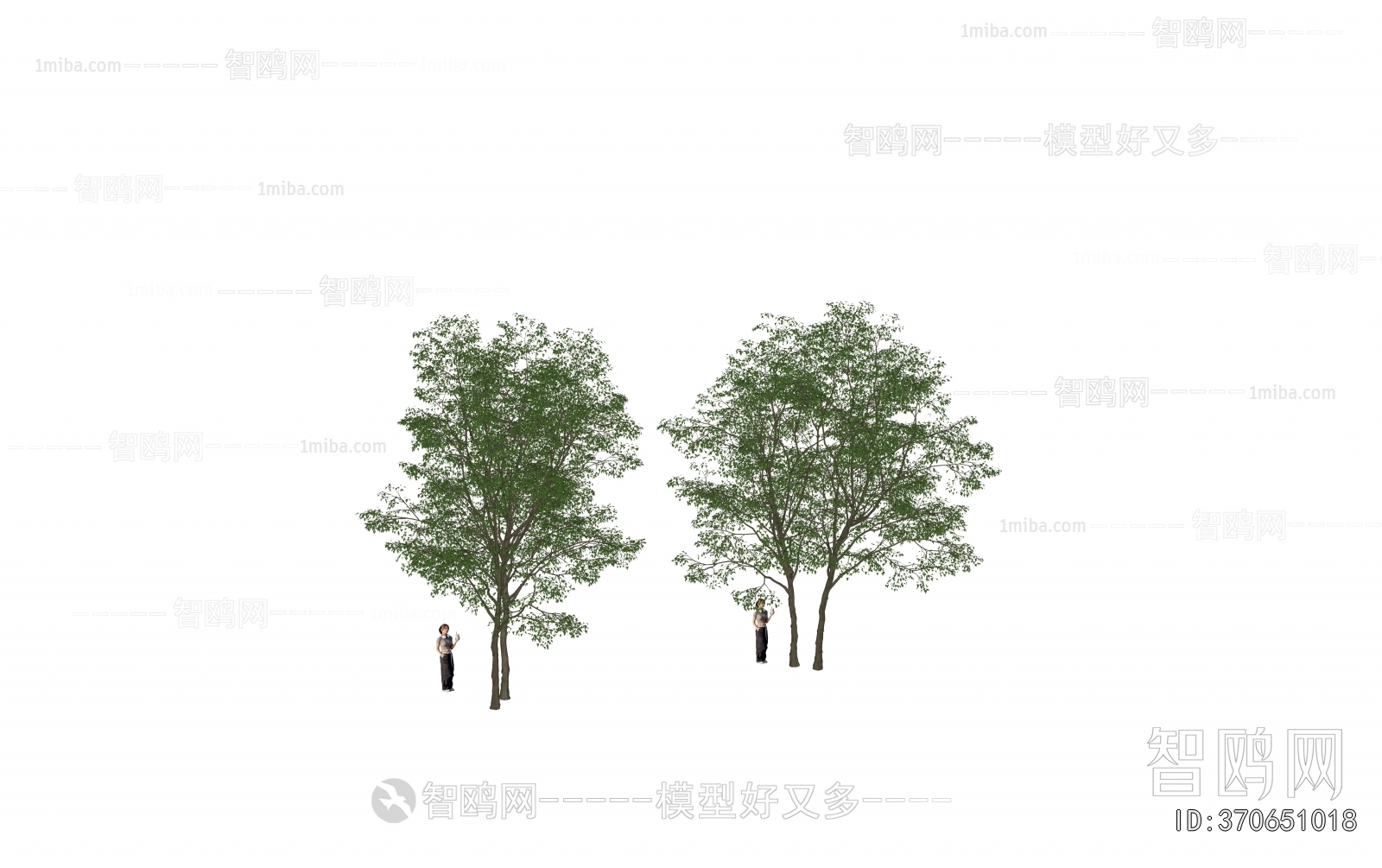 Modern Tree