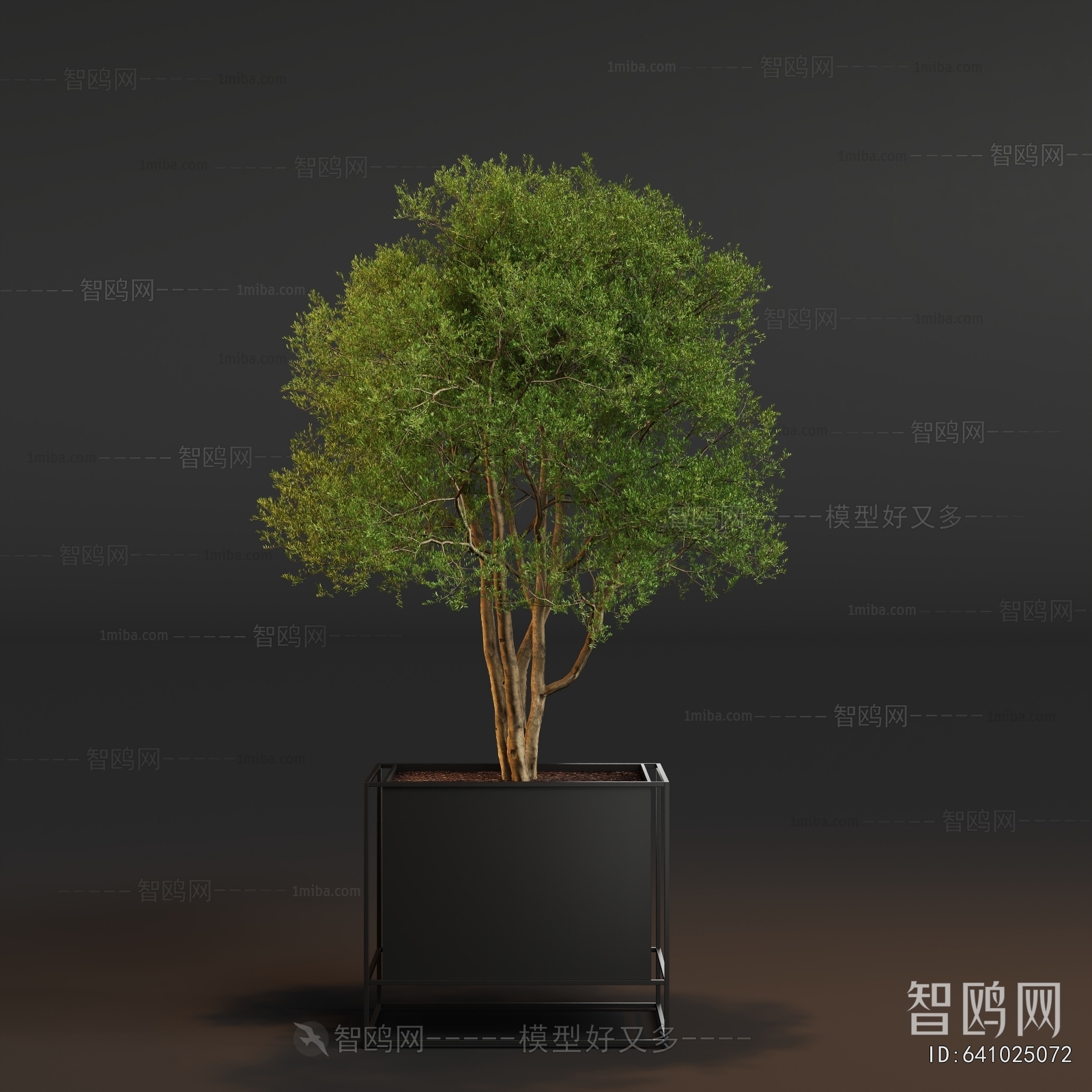 Modern Ground Green Plant Potted Plants